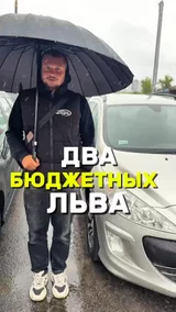 Два бюджетных льва