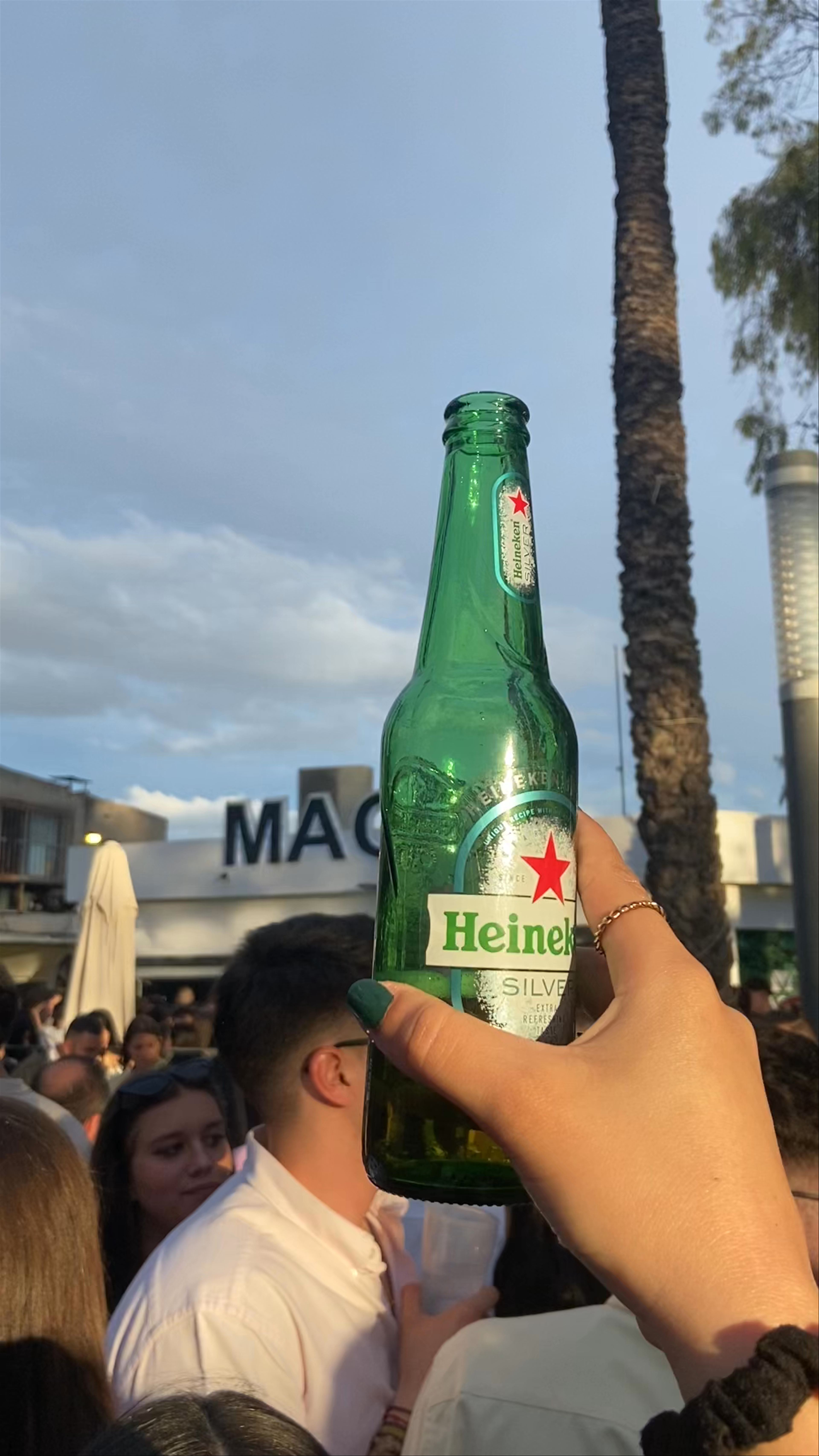 Bar Magos