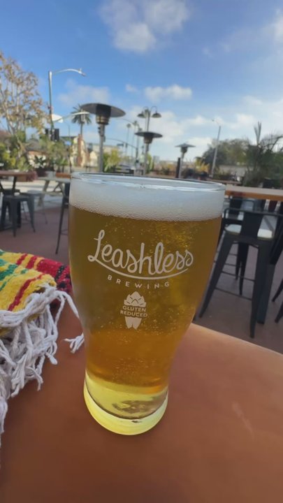 Leashless Brewing - The brewery was lovely - Breweries Near Me - Ventura, California
