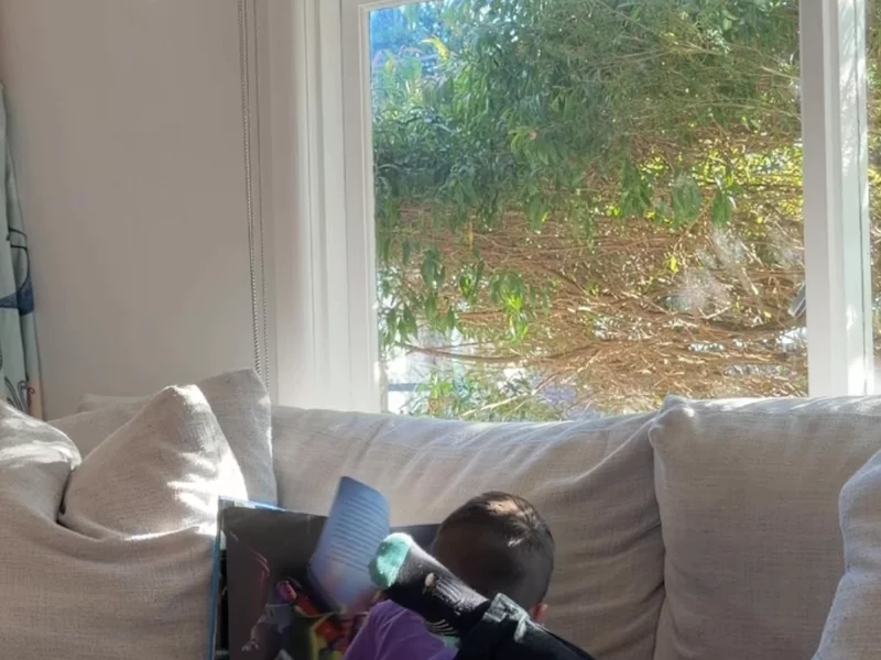 MS Readathon