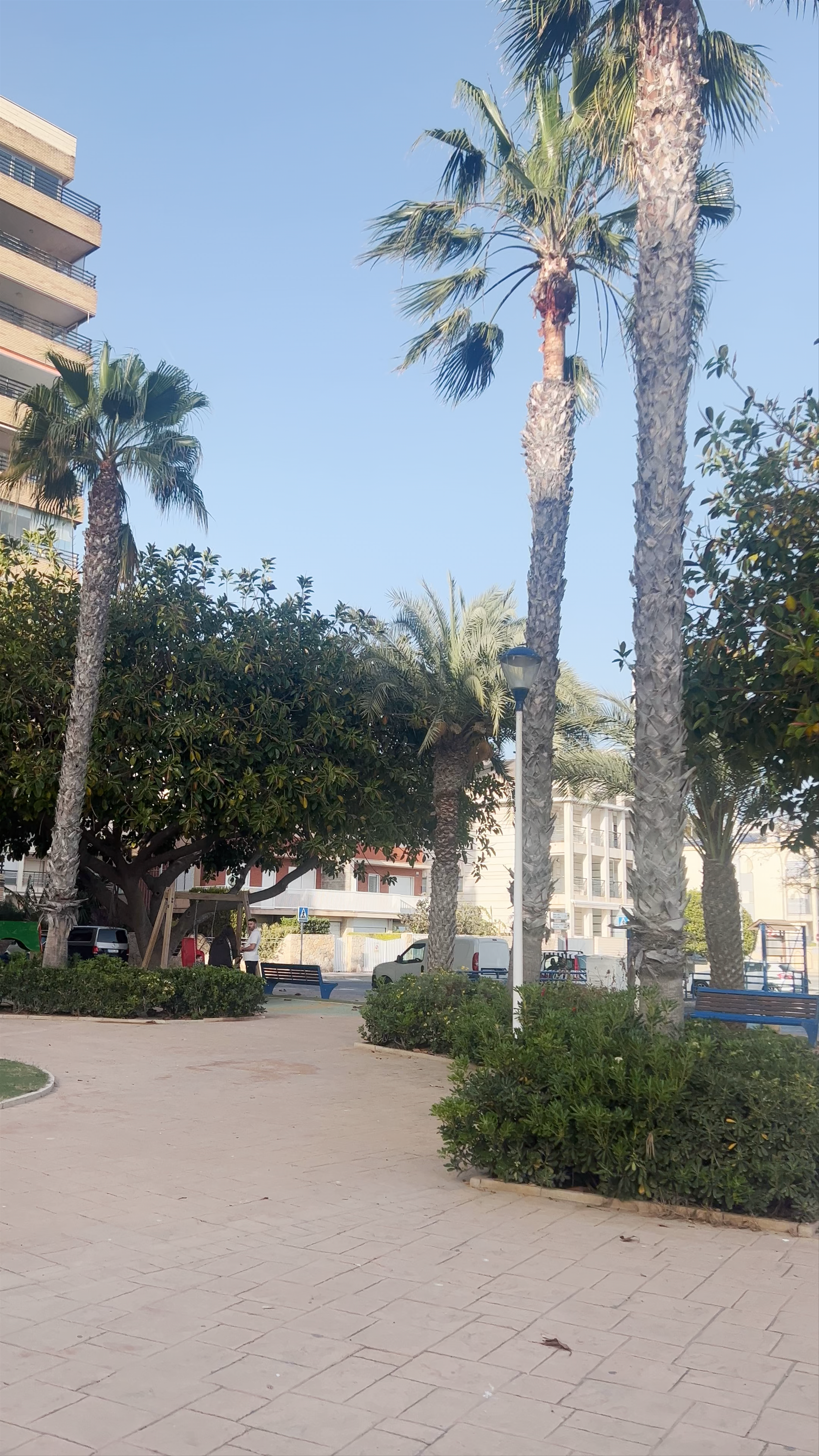 Sunny Urban Oasis at Plaça Felix Rodriguez de la Fuente, Santa Pola