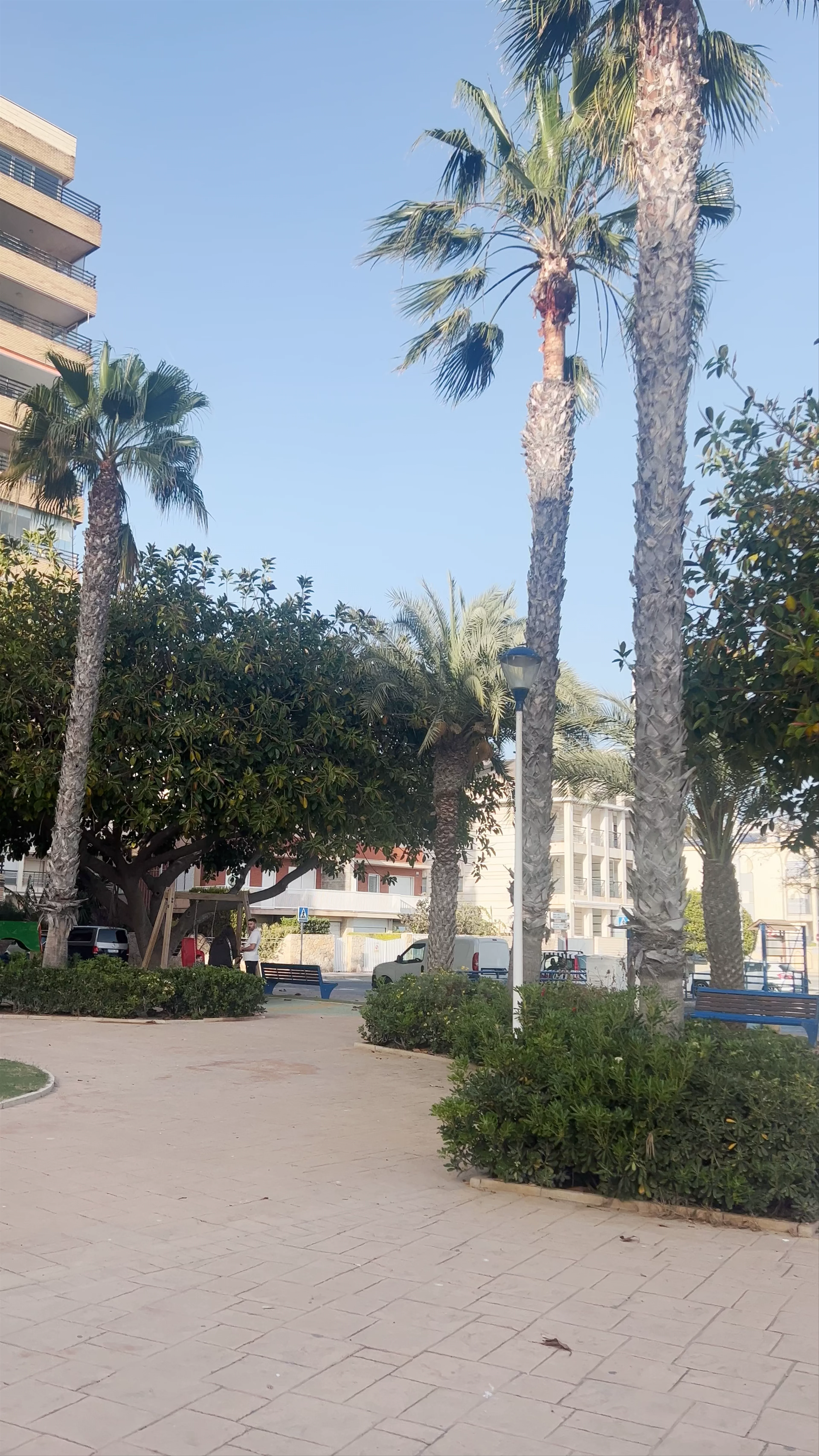 Plaça Felix Rodriguez de la Fuente, Avenida Santiago Bernabéu