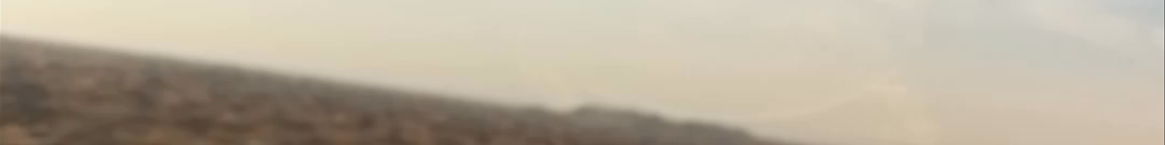 Tours & experiences in United Arab Emirates