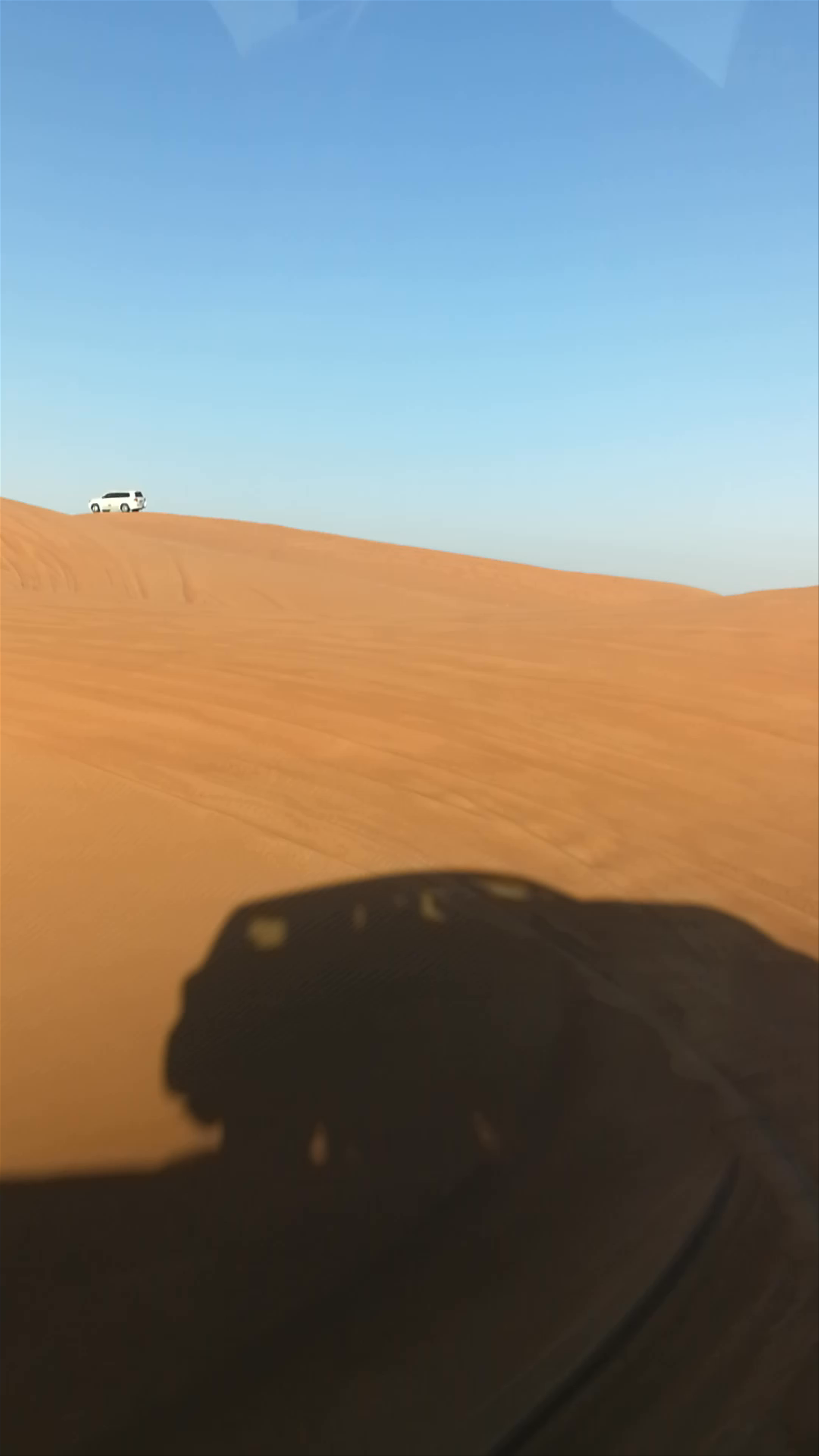 Dubai Desert Safari