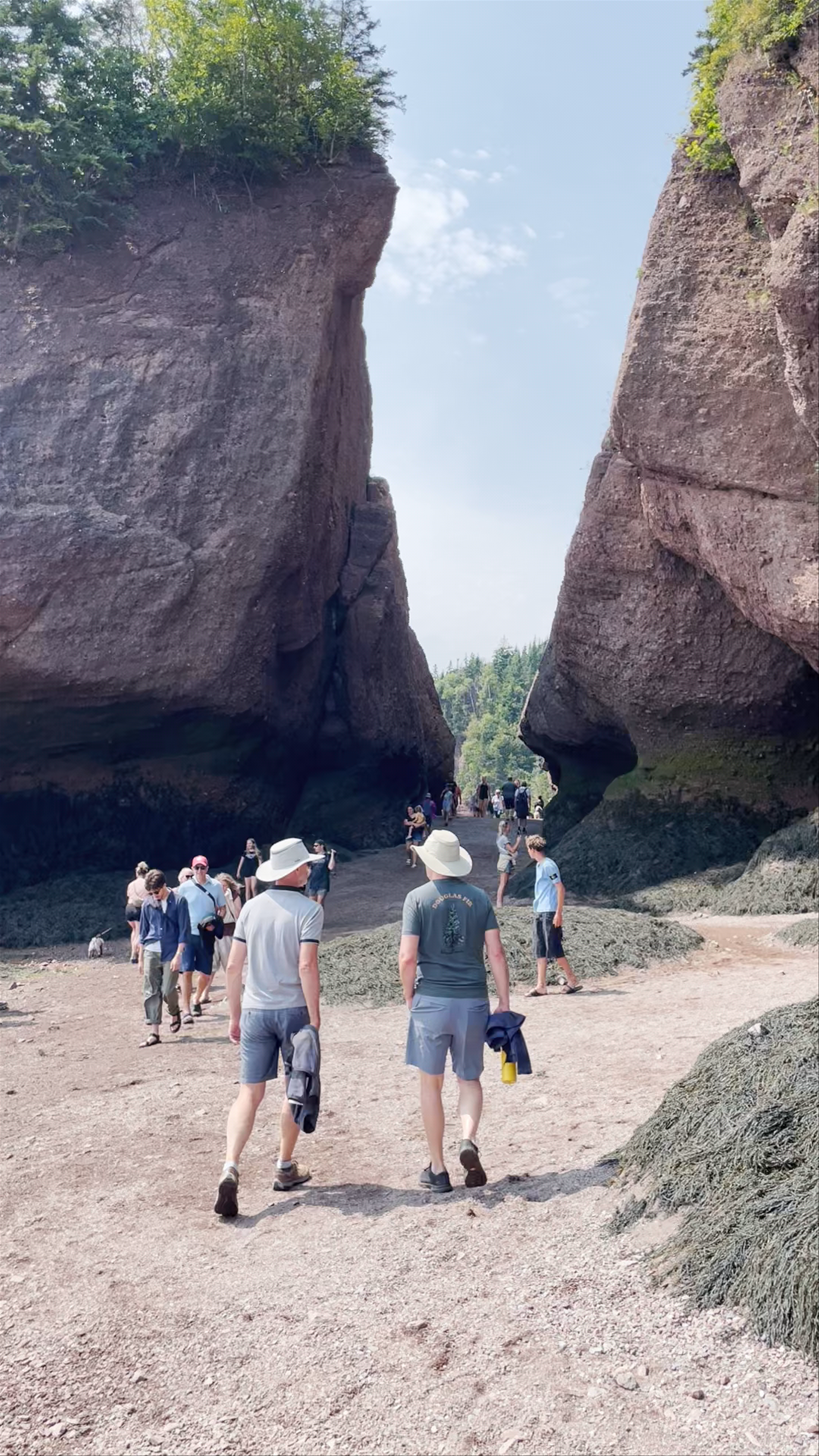 Hopewell Rocks: Stunning Coastal Exploration in New Brunswick