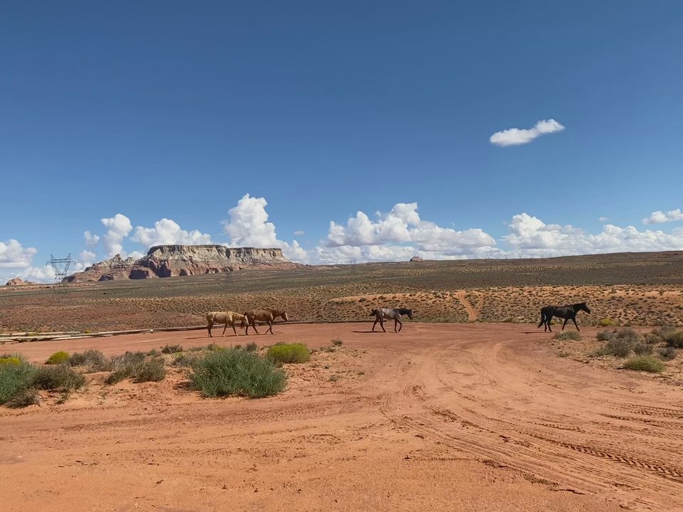 Antelope Hogan Bed and Breakfast  - The view in front of hogan - Bed & Breakfast Near Me - Page, Arizona