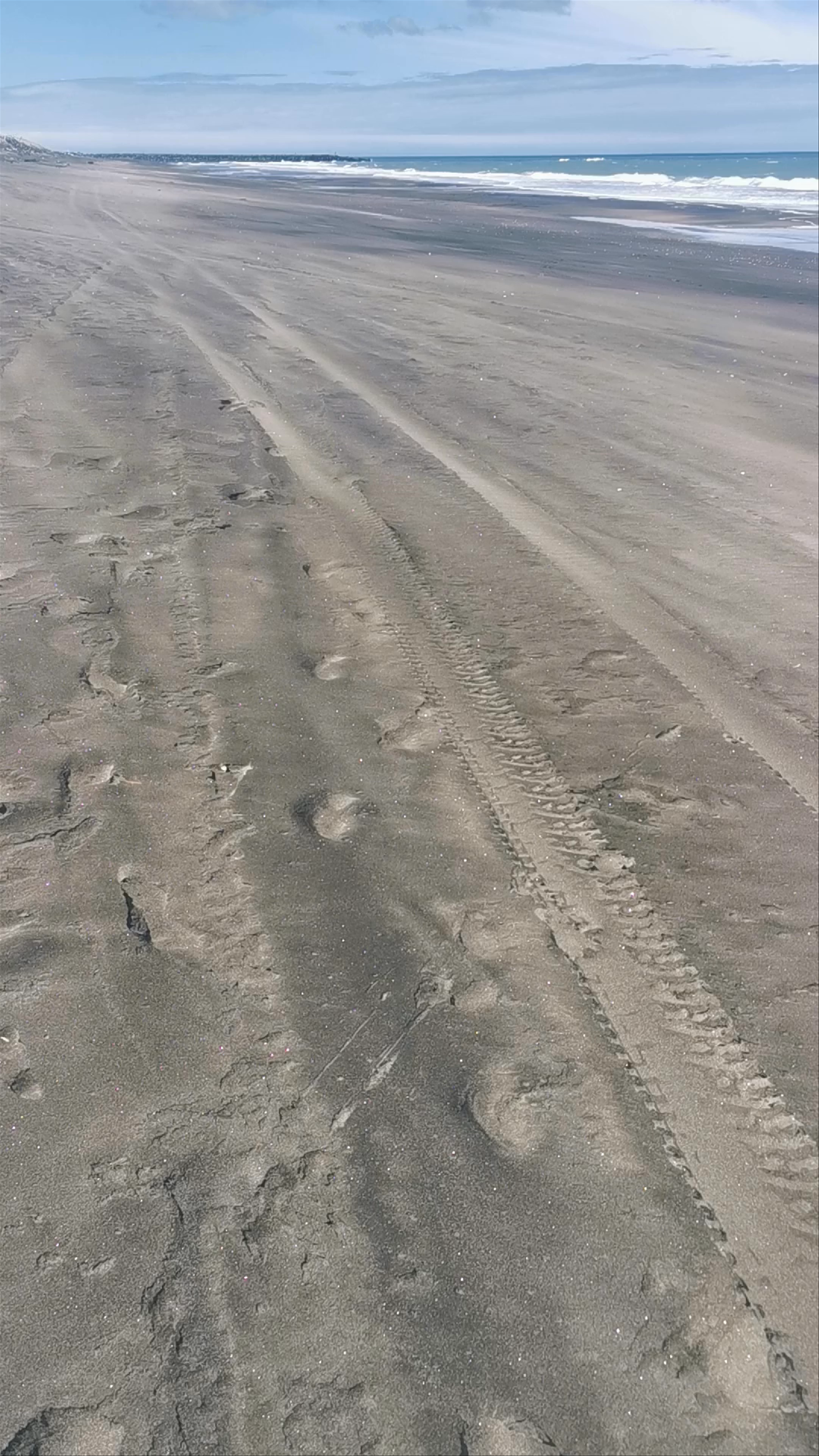Castlecliff Beach Rangiora Street