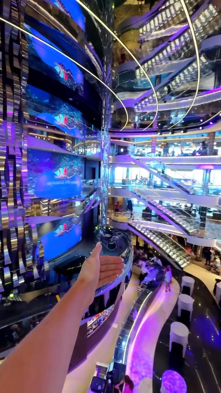 MSC Cruises