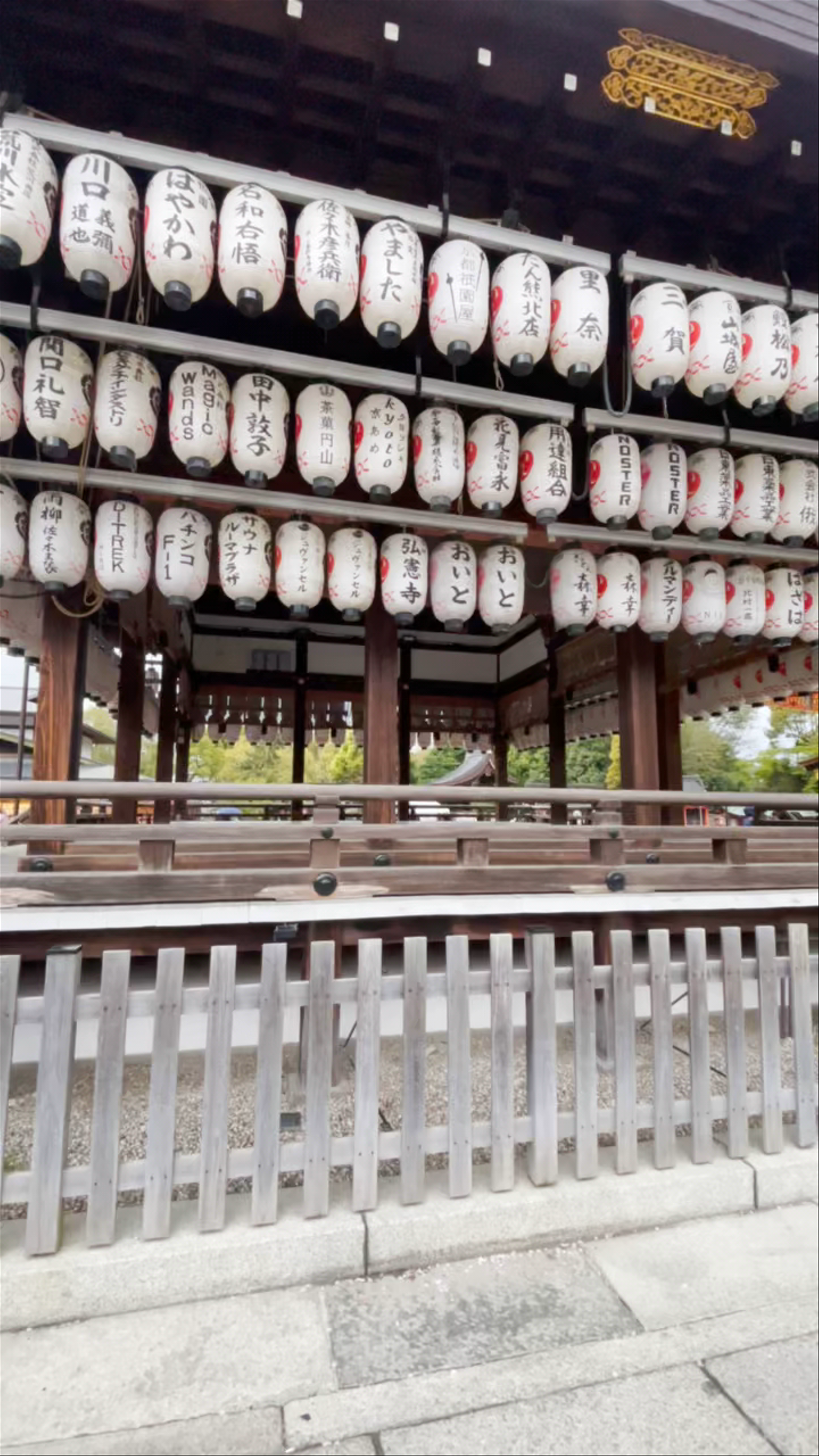 Serene Walk Through Maruyama Park and Shrine Lanterns in Kyoto