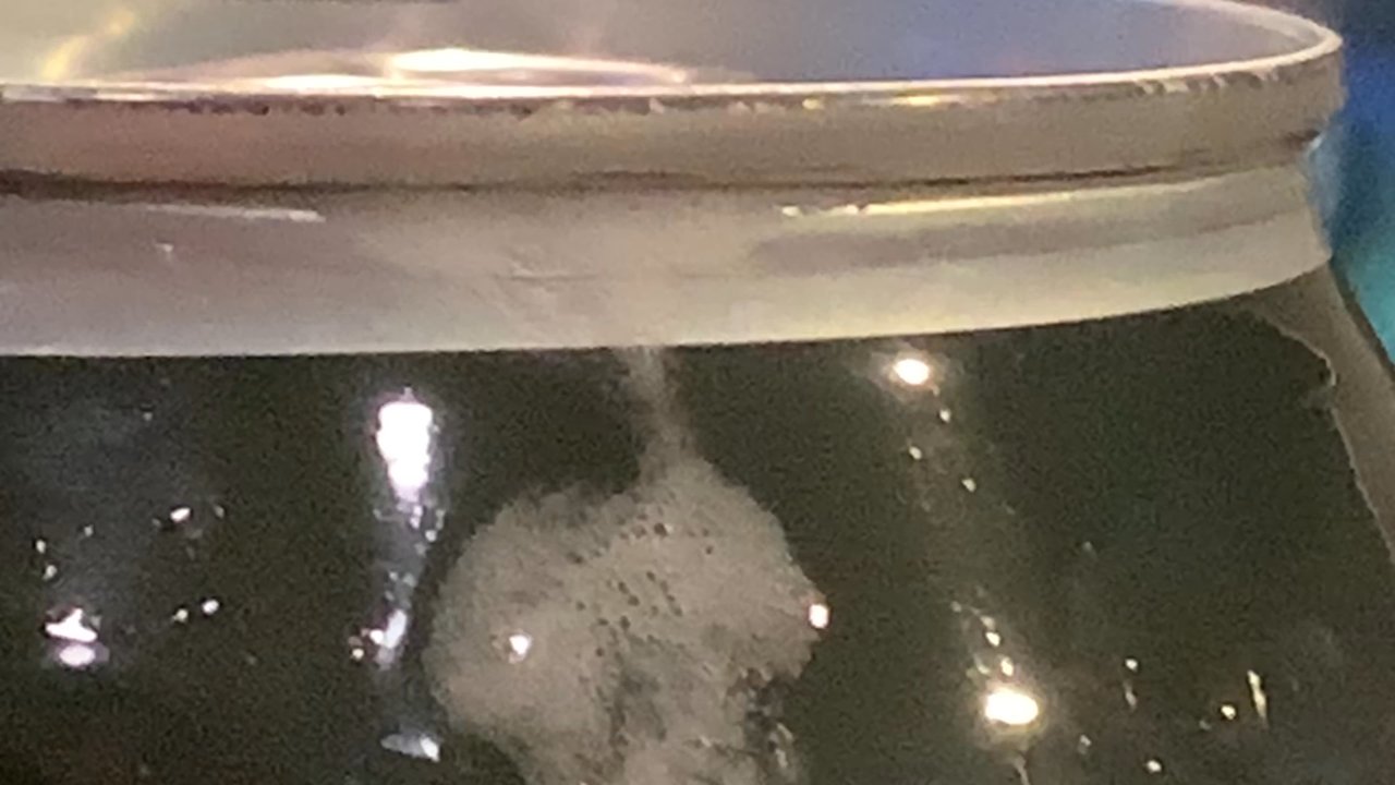Pivovar - This is a video from another set of cans from Pivovar Laing their pressure. It happened again! - Brewpubs Near Me - Waco, Texas