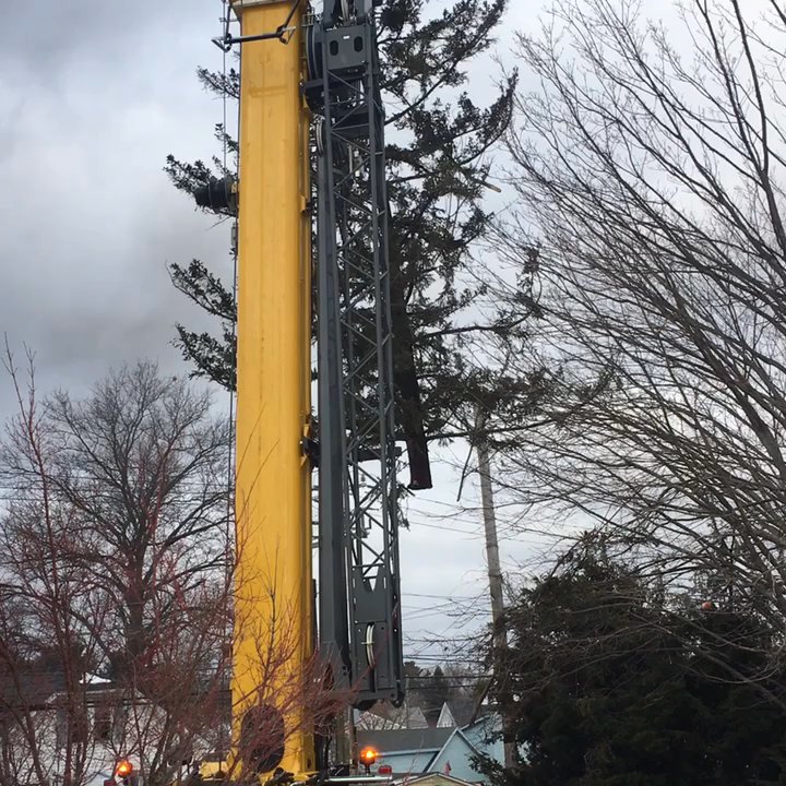 Accurate Tree Service - This tree fell from disease and high winds. The crane they used was a beast. Great job guys! And no damage :) - Landscaping Near Me - Hooksett, New Hampshire