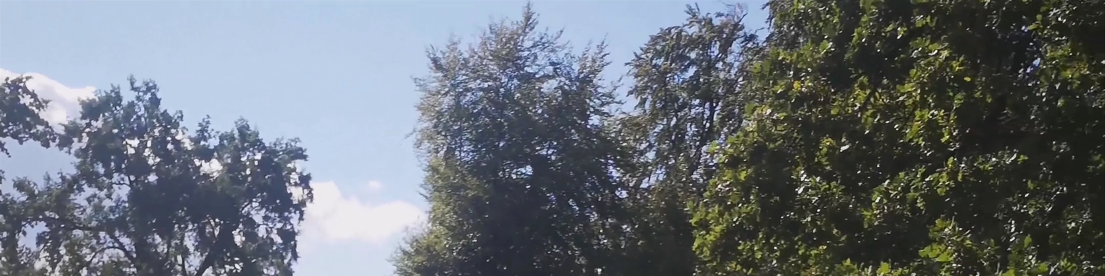 Sanssouci Park