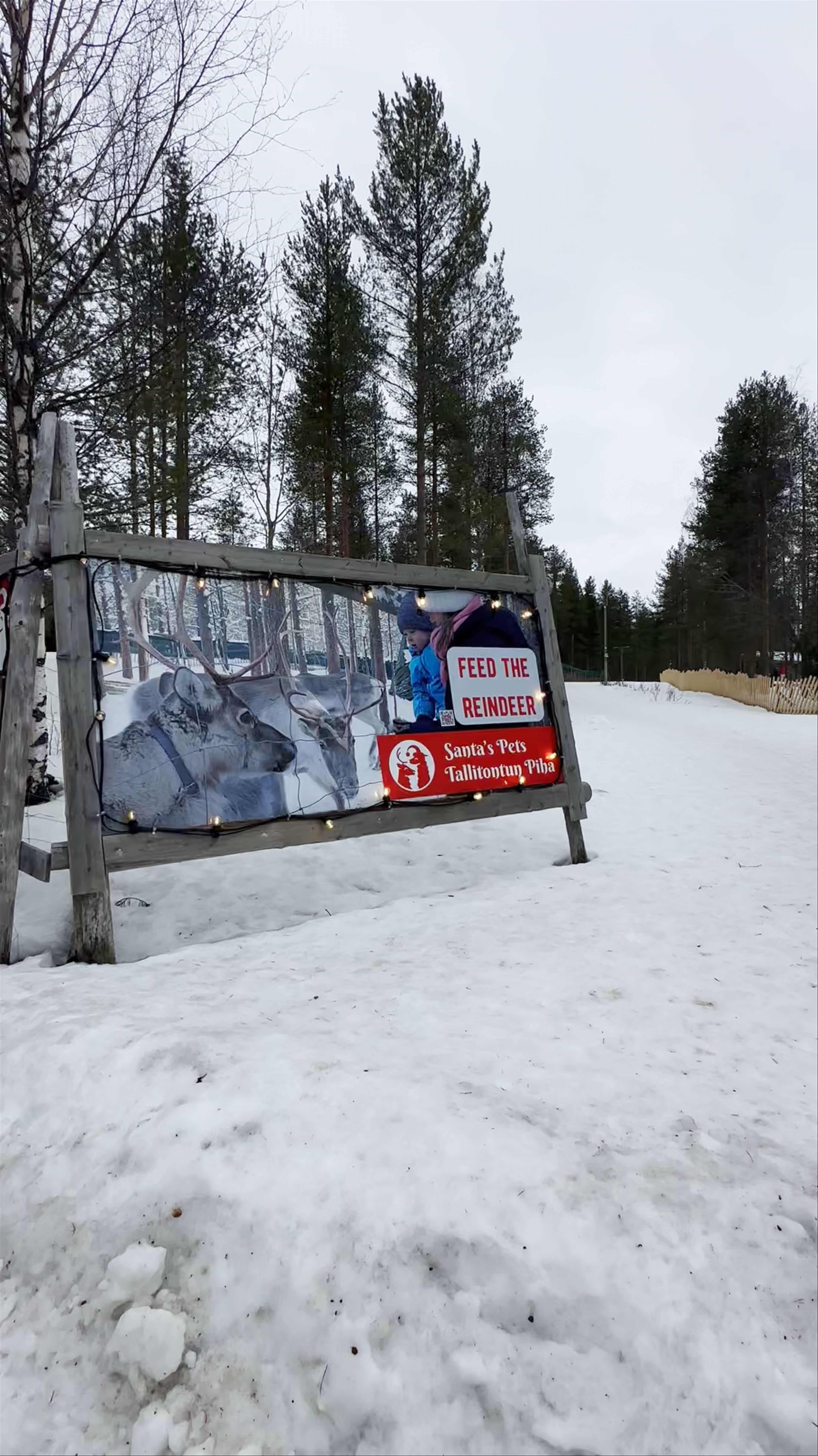 Santa's Pets: Feeding Reindeer and Meeting Arctic Animals in Rovaniemi