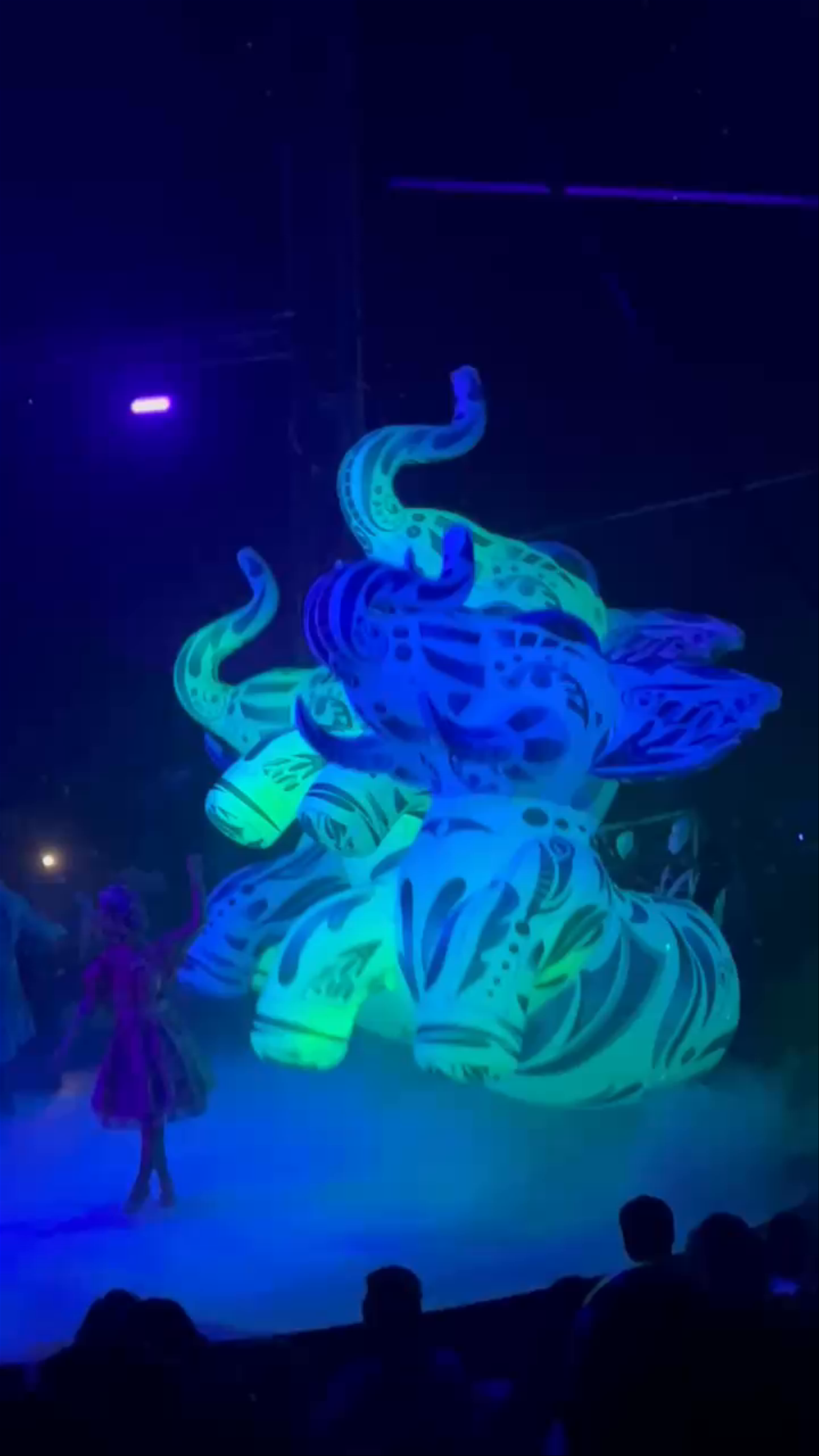 Circo Alegria