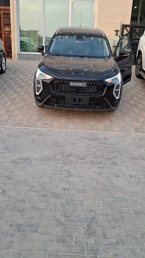 هافال جوليان Basic 2025