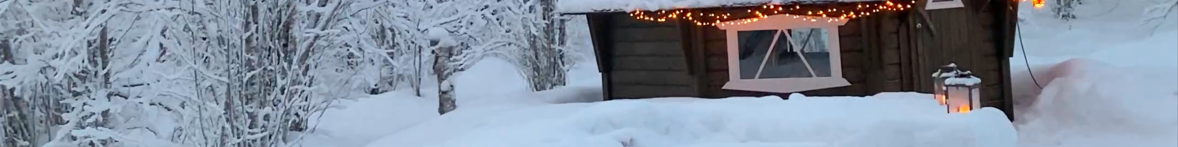 Tours & experiences in Kittilä