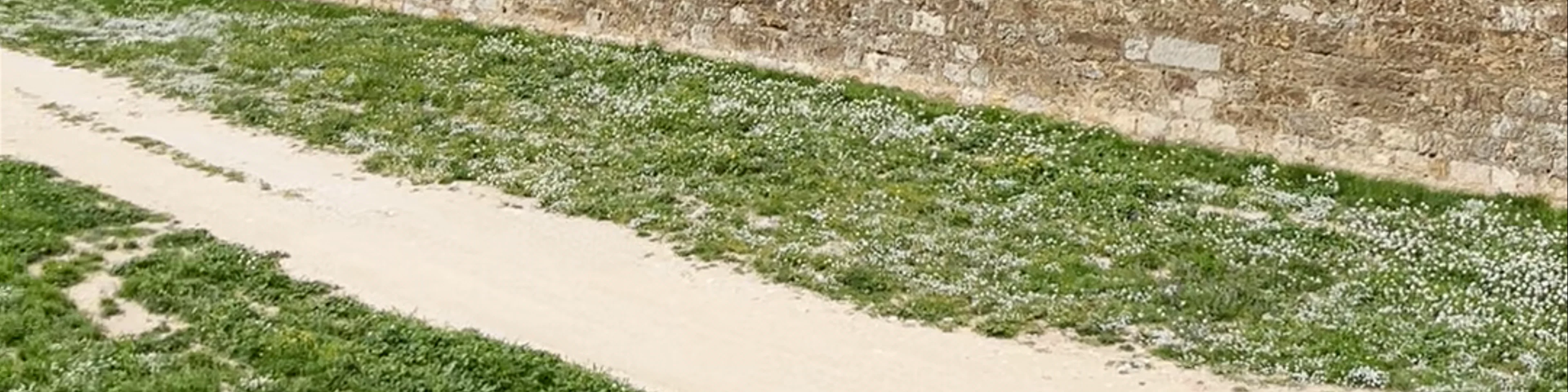 Castell de Sant Ferran