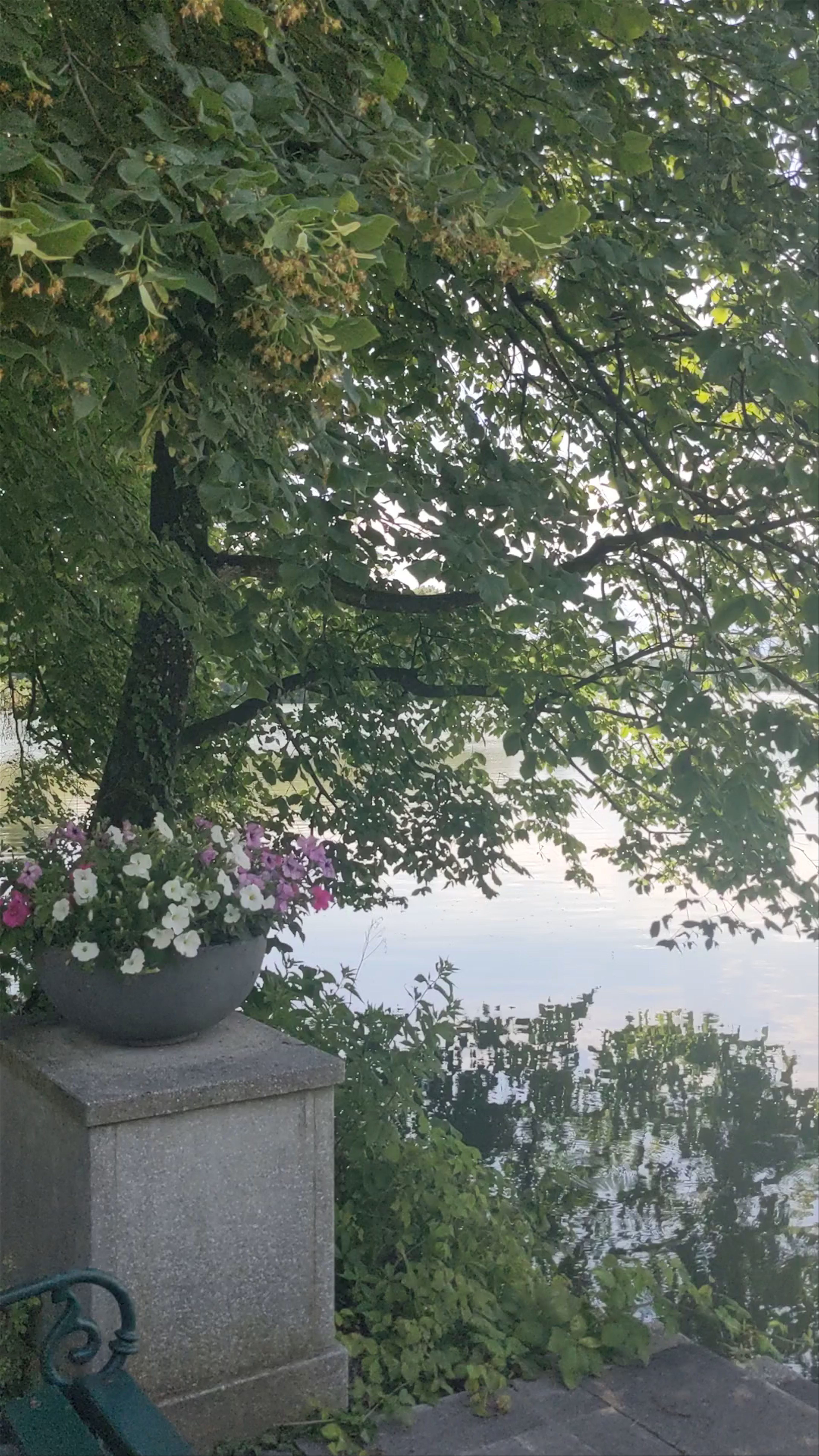 Serene Garden Reflections at Schloss Leopoldskron, Salzburg