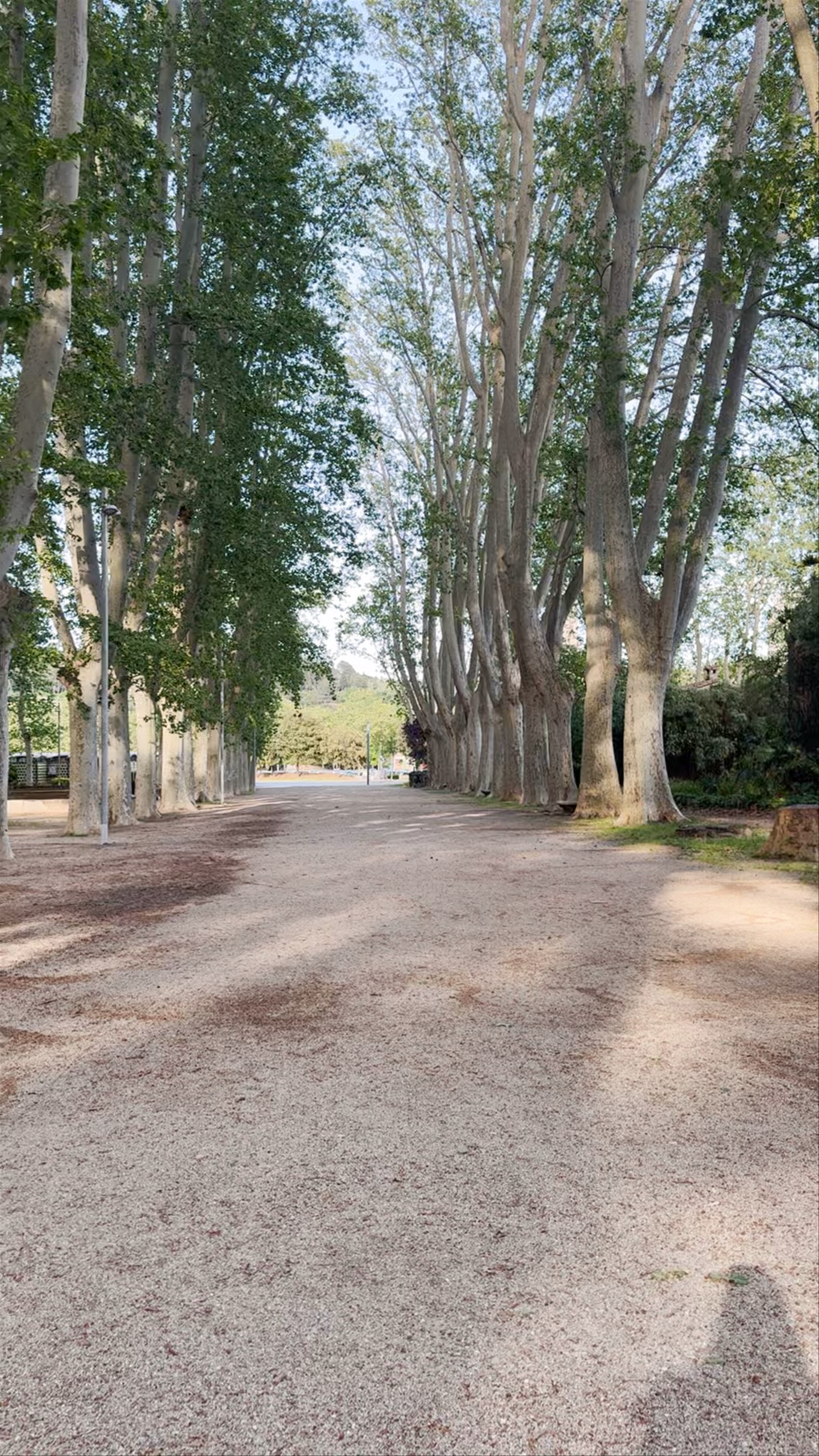 A Serene Stroll Through Parc de la Devesa in Girona, Spain