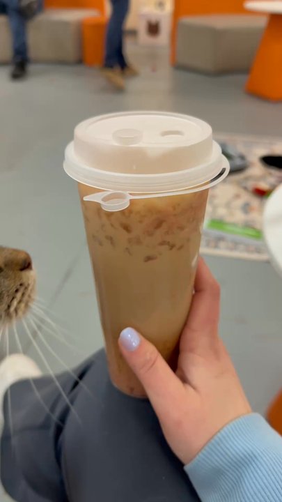Pawz Pet Cafe - Pet Adoption Near Me - Carmel, Indiana
