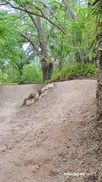 MTB Sendsei - Gwazi Berm - Mountain Biking Near Me
