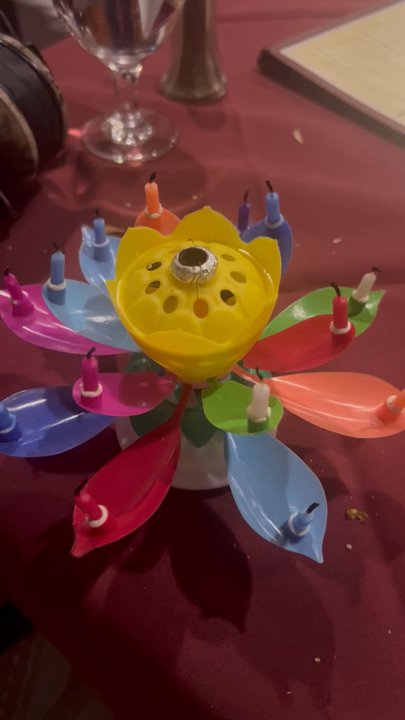 Bollywood Cafe - Very cool Musical Birthdays candles that turns around and play music  brought by the owner while they played birthday songs in background - Indian Near Me - Studio City, California