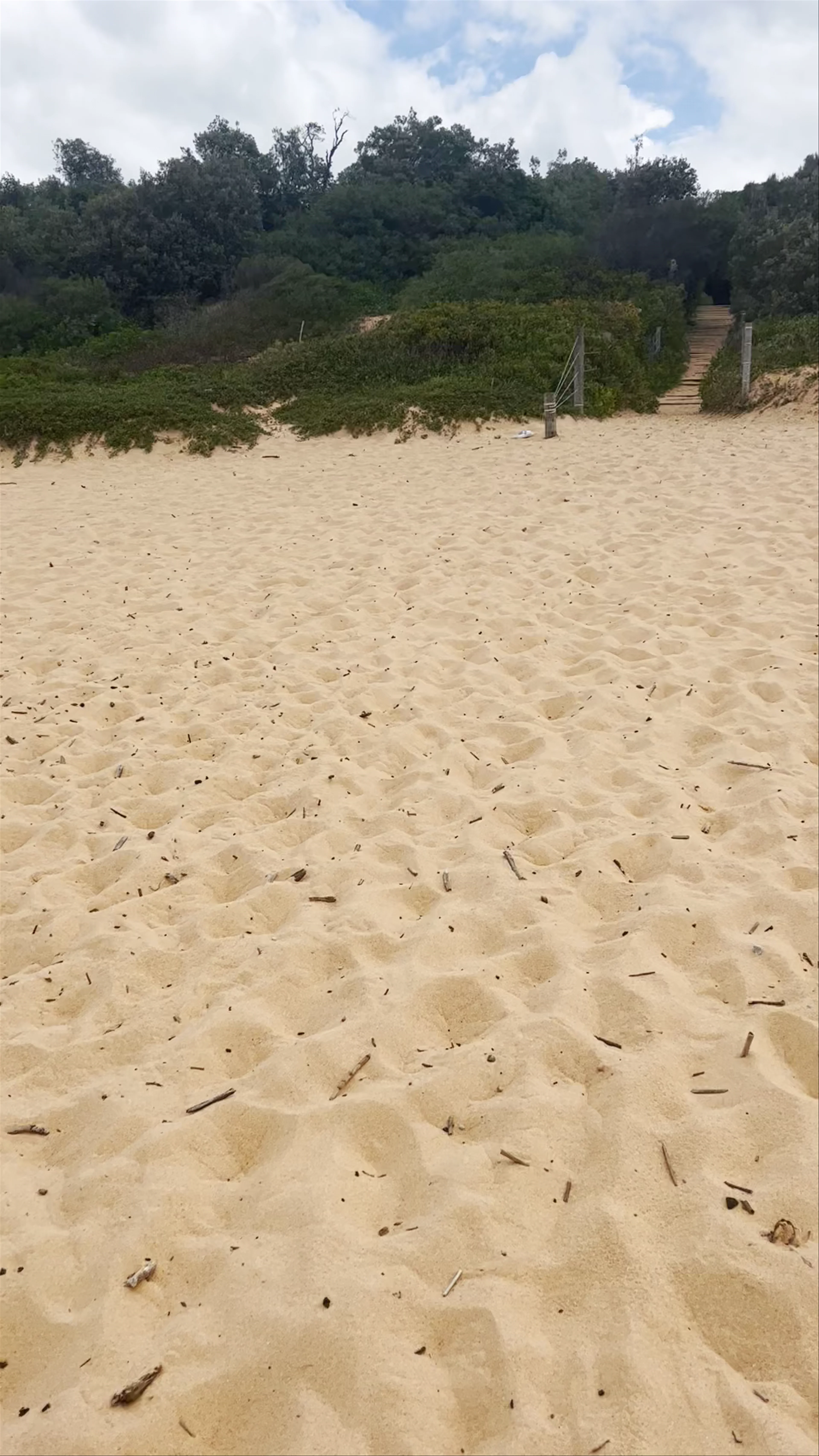 Spoon Bay, Spoonbay Access Track, Wamberal