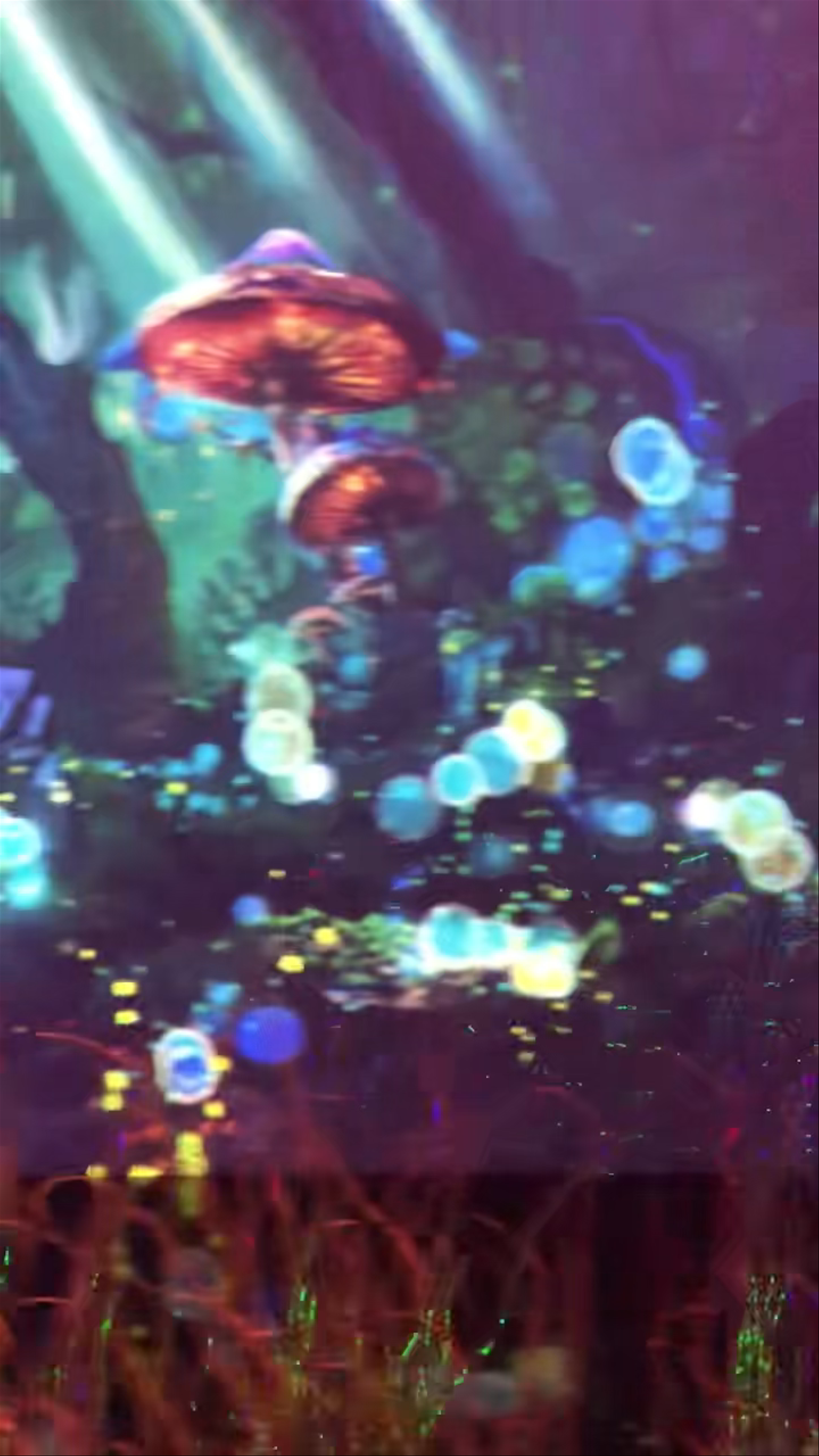 Museum of Dream Space (MoDS) Hollywood