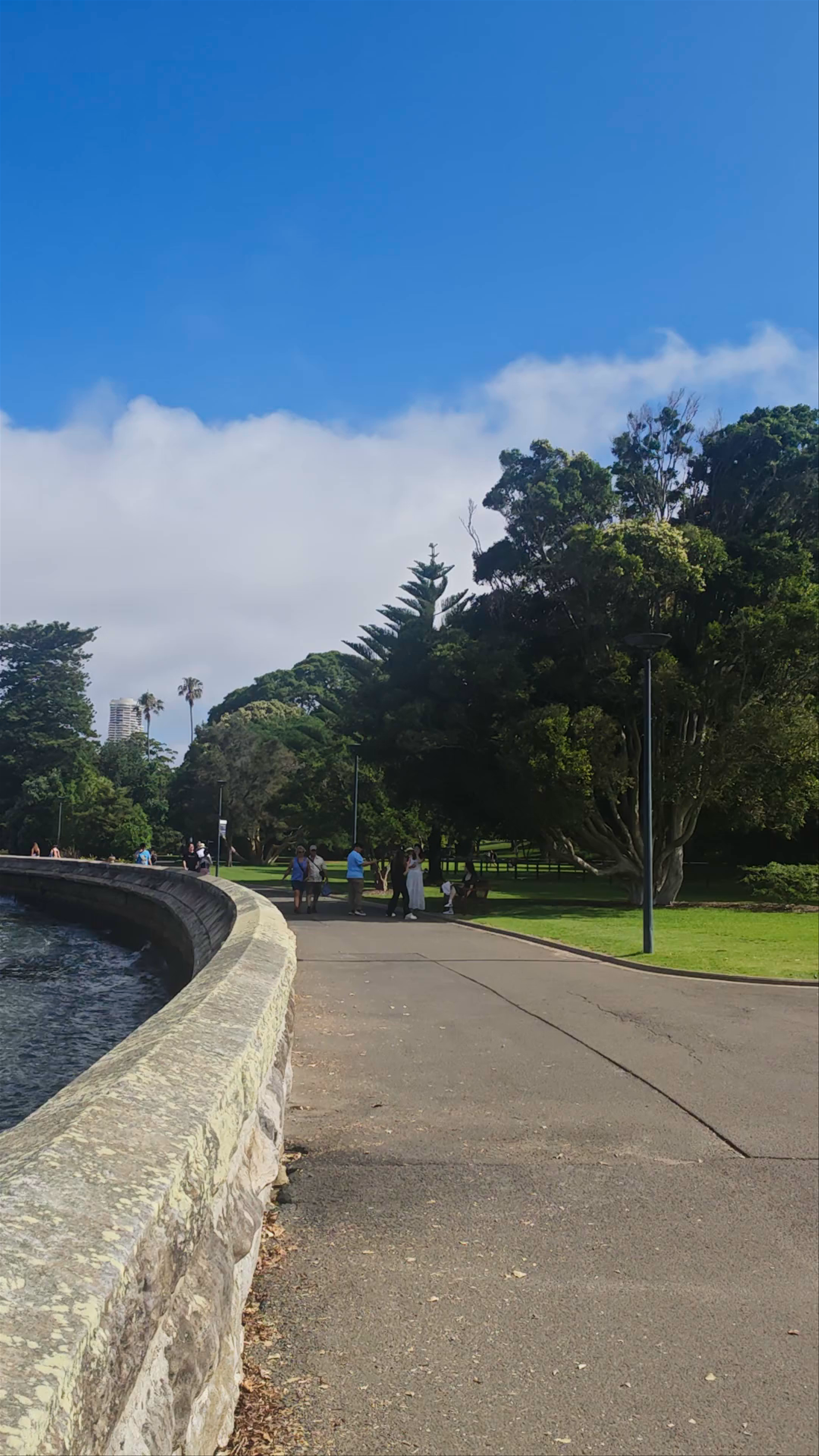 Royal Botanic Garden Sydney: Urban Oasis with City Skyline Views