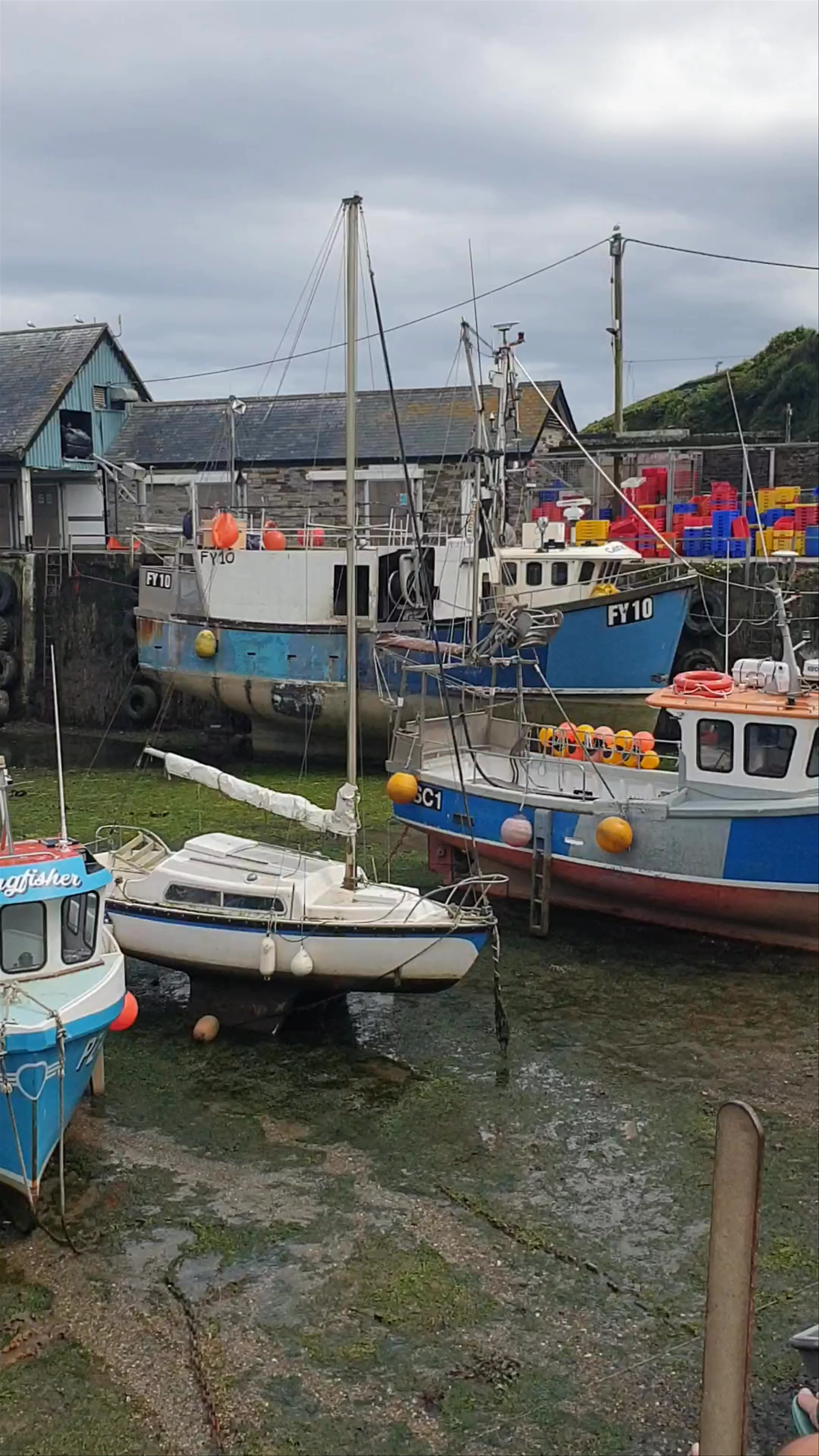 Mevagissey Harbour Wall