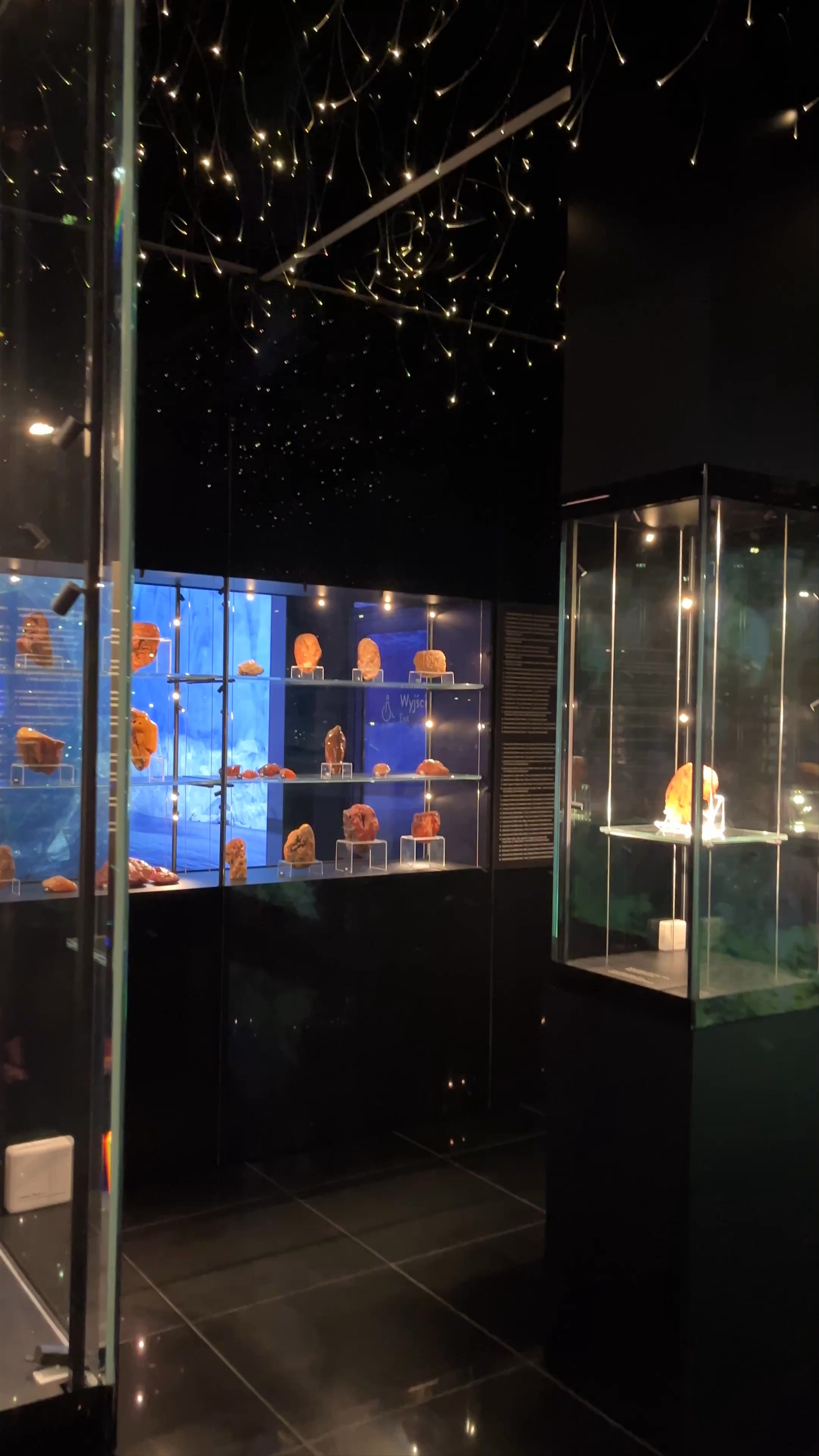 Amber Museum: Illuminating the Ancient Treasures of Gdańsk