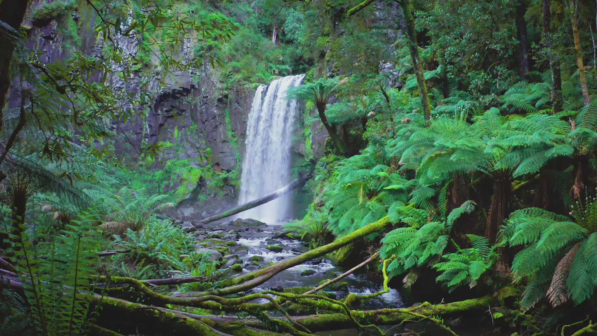 Cedarvale Health and Lifestyle Retreat