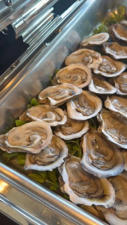 Jamul 23 - oysters - Buffets Near Me - Jamul, California