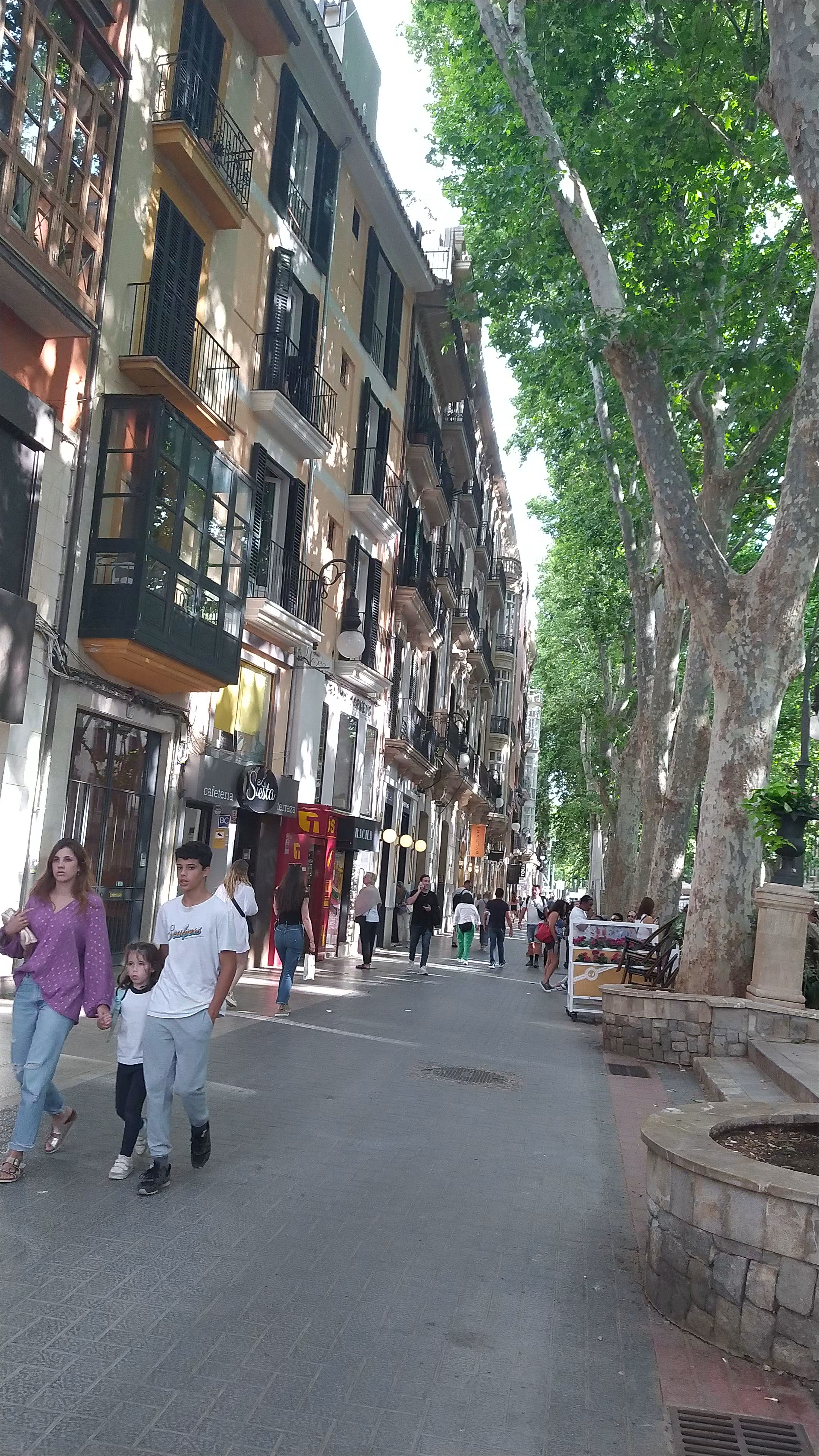 Paseo del Born: A Stroll Through Palma’s Historic Heart