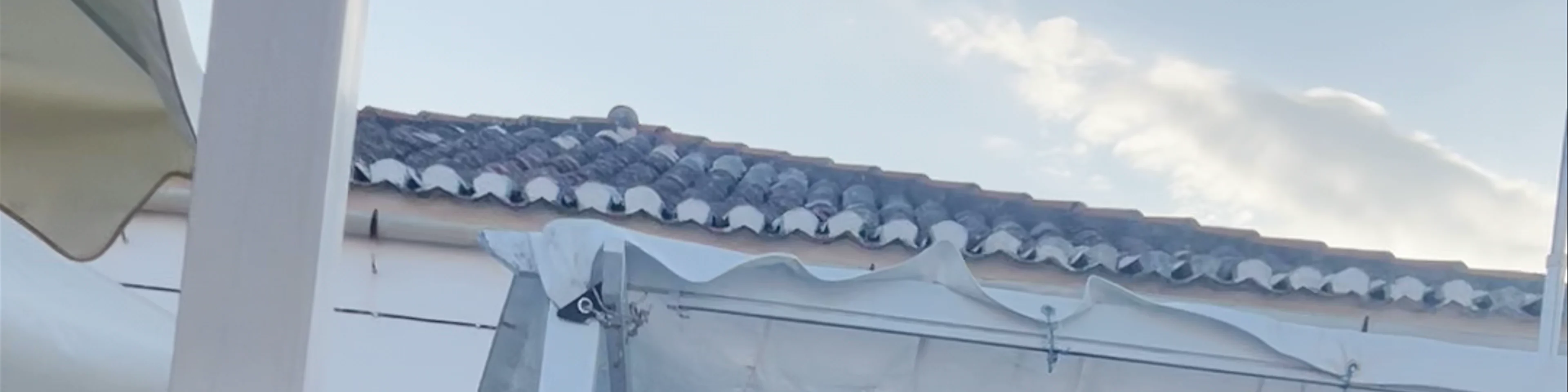 Mosquito Spetses