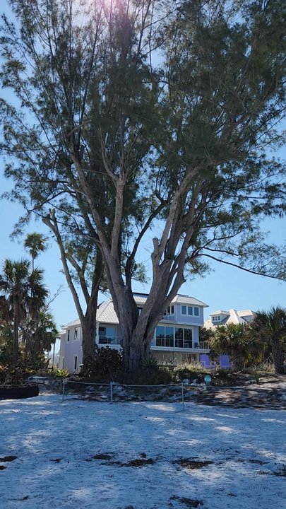 Bean Point - Beaches Near Me - Anna Maria, Florida