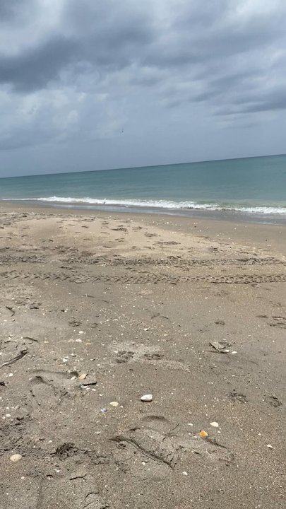 Bob Graham Beach - Beaches Near Me - Stuart, Florida