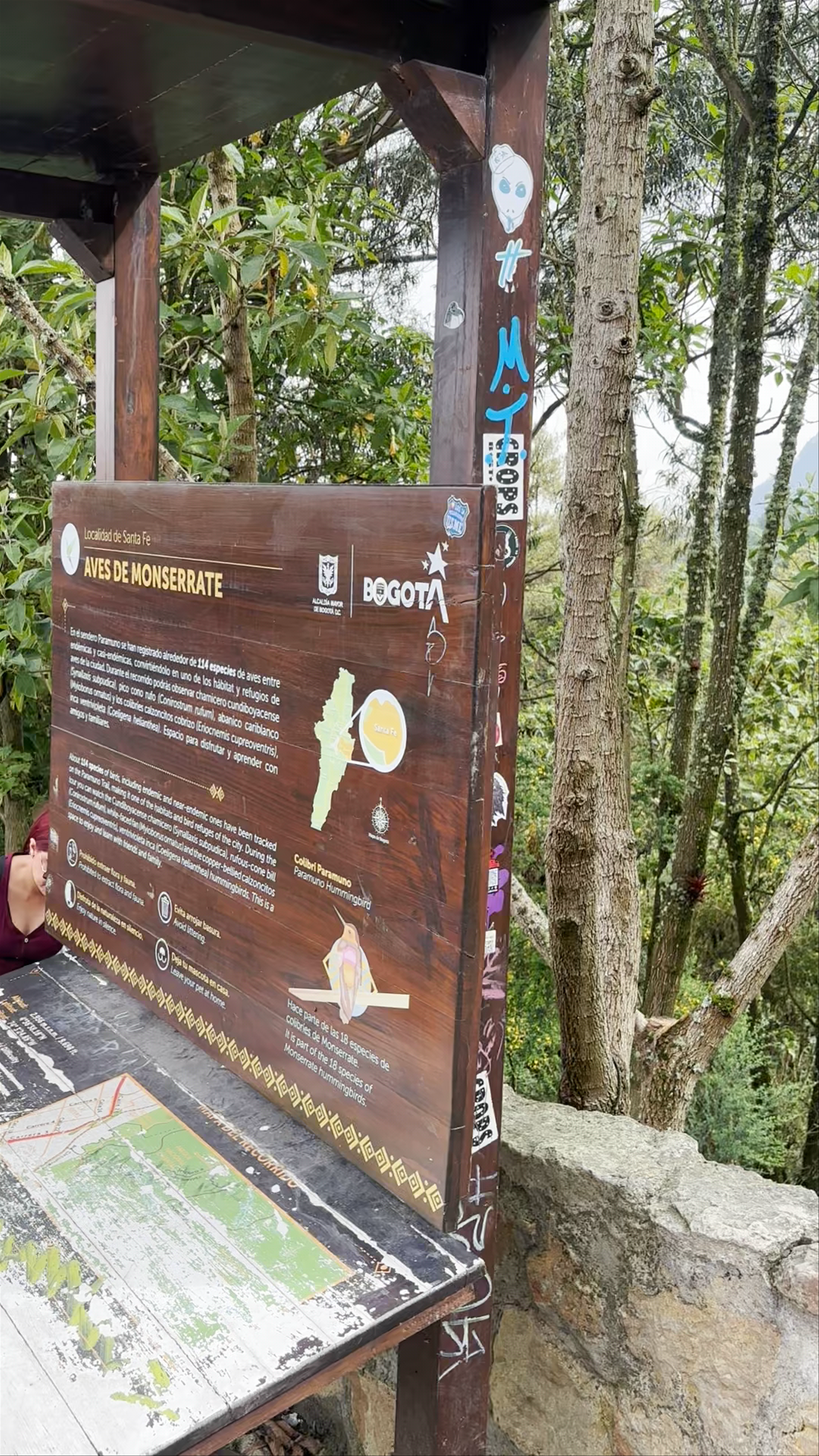 Observatorio de Aves - IDT