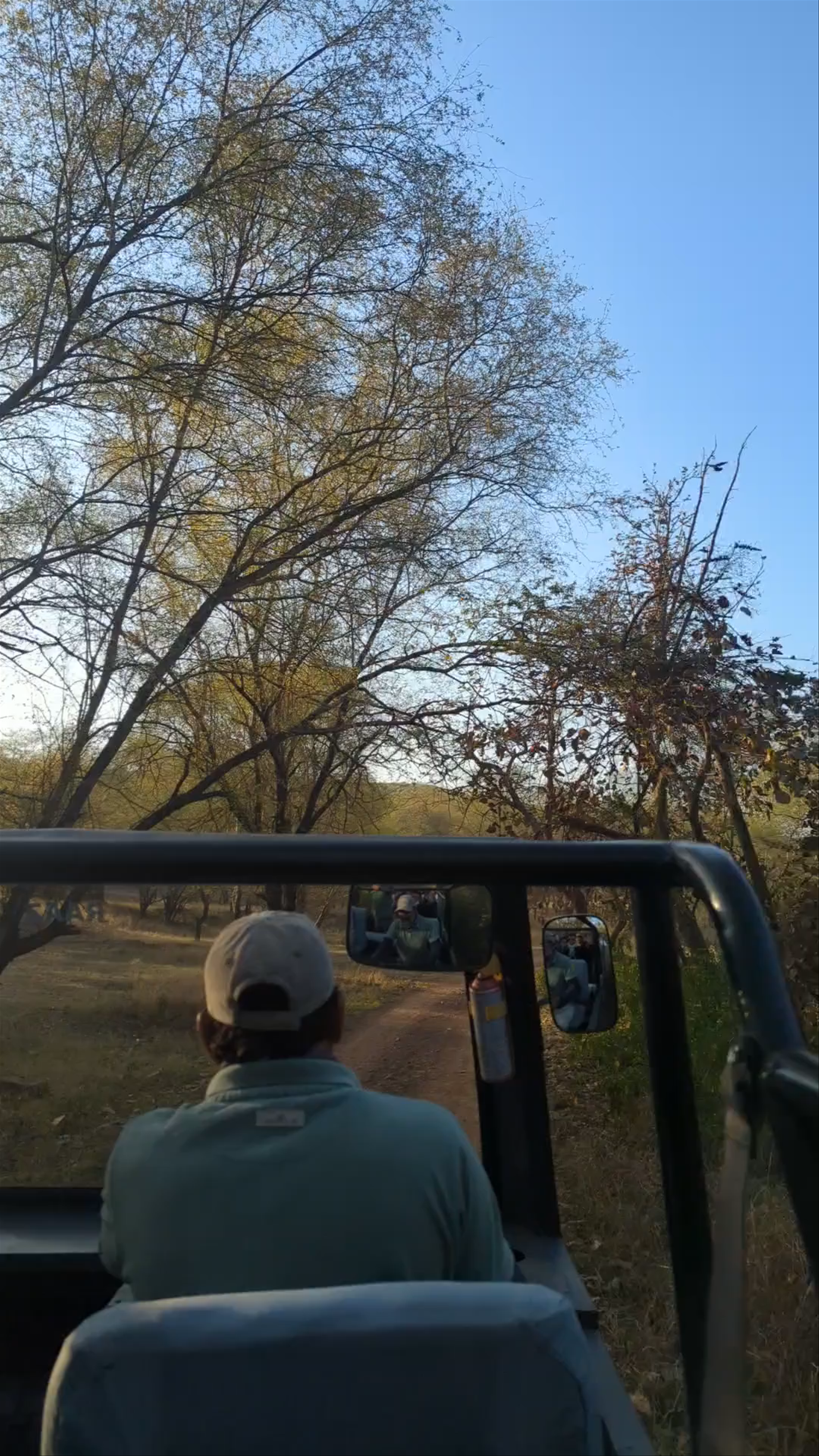 Ranthambore National Park