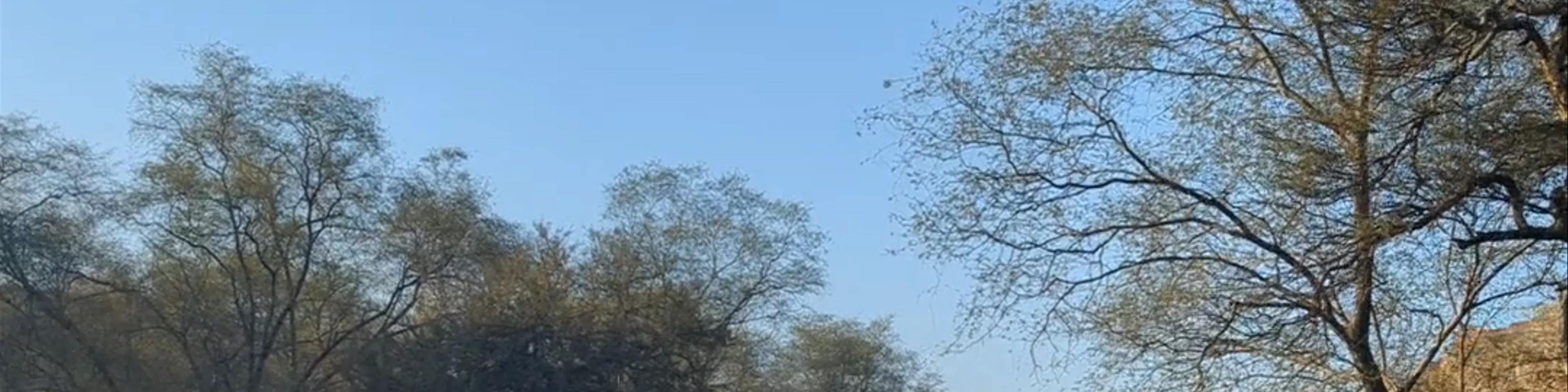 Ranthambore National Park