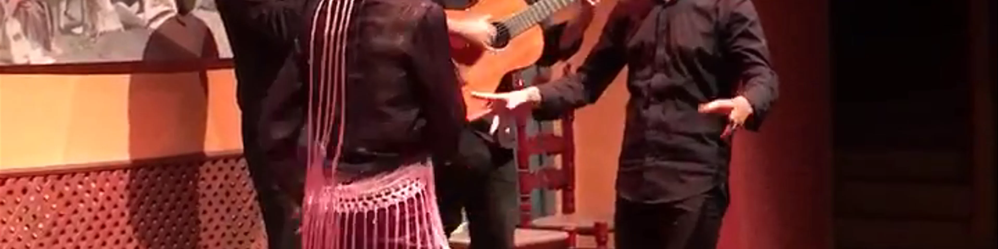 Flamencos show at Casa de la Memoria