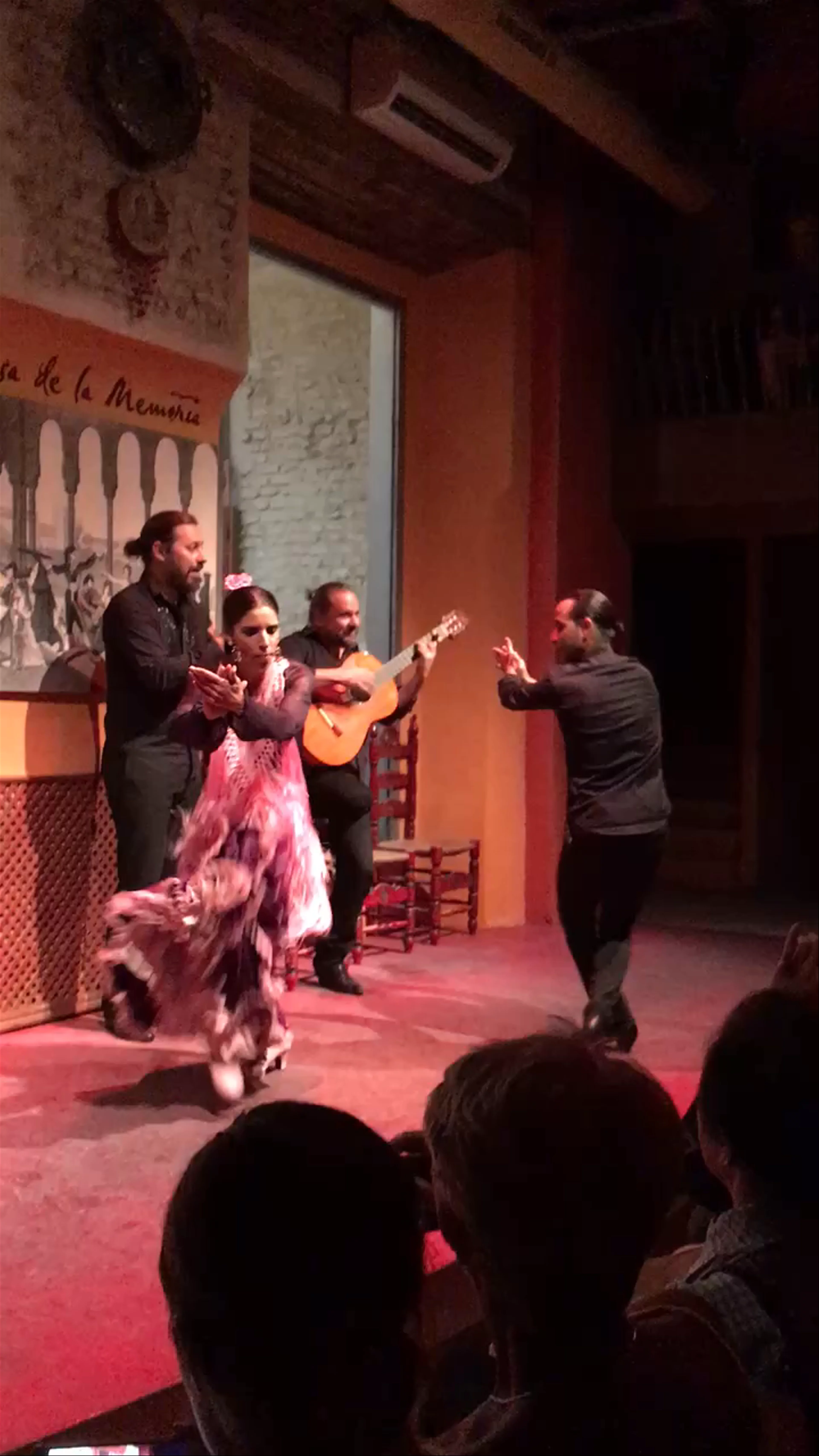 Casa de la Memoria Centro Cultural Flamenco