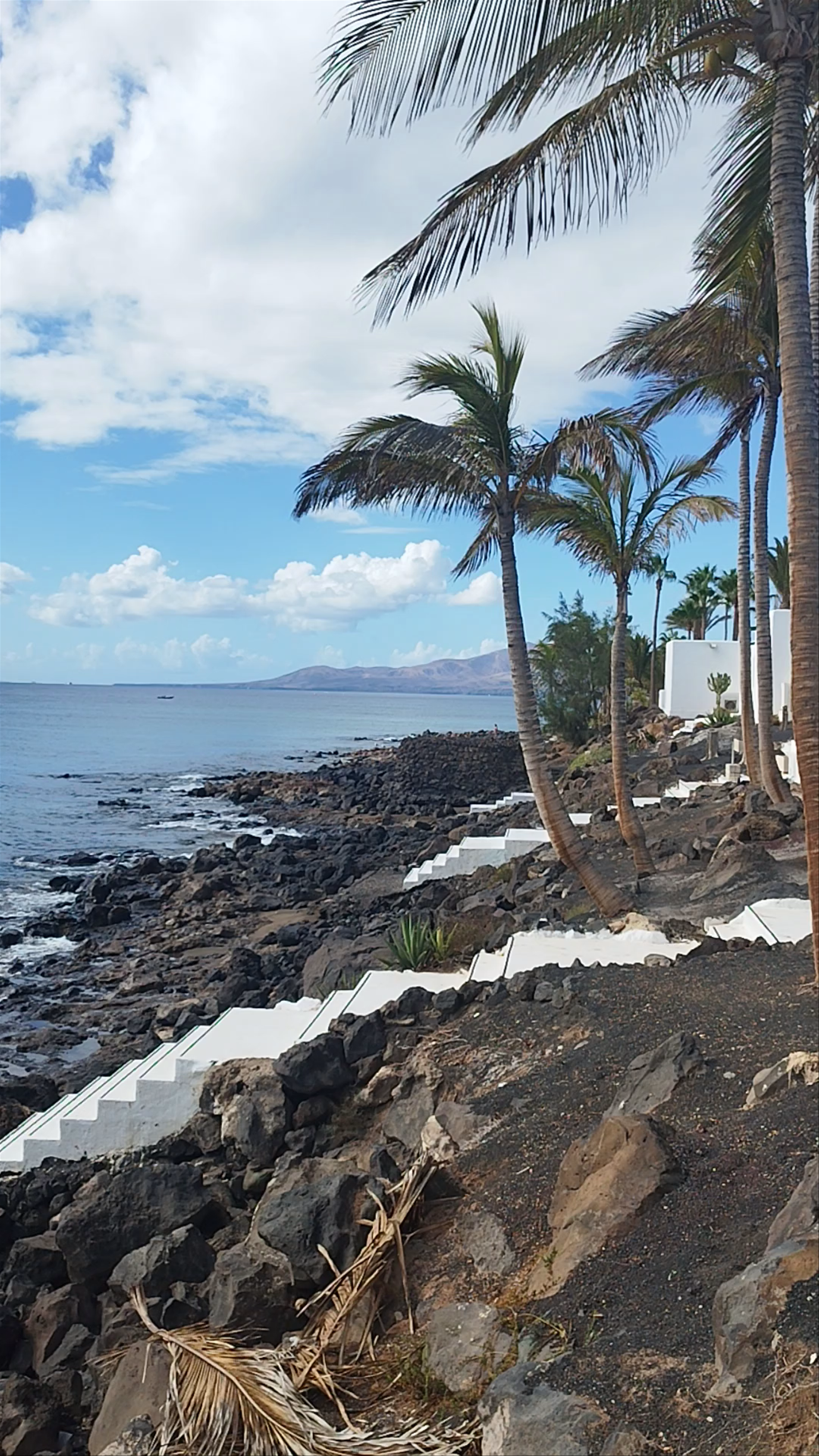 Bungalows Velázquez