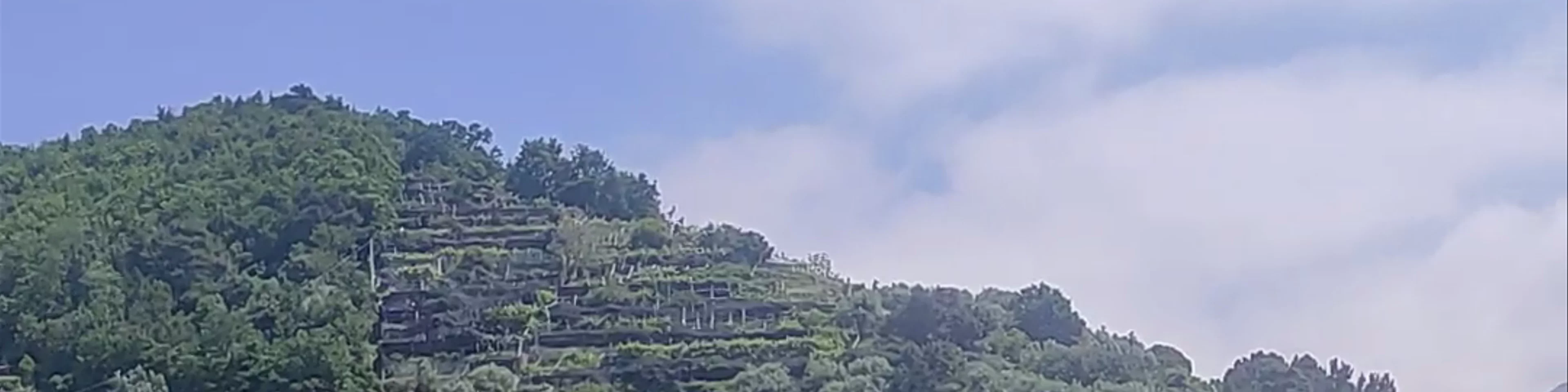 Sentiero dei Limoni
