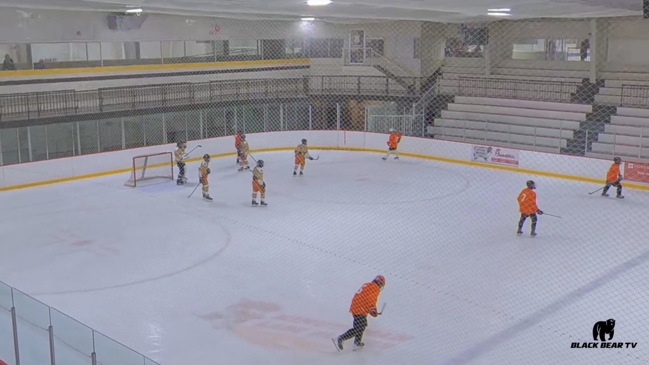 Anthony Palazini: Penalty Kill Highlights
