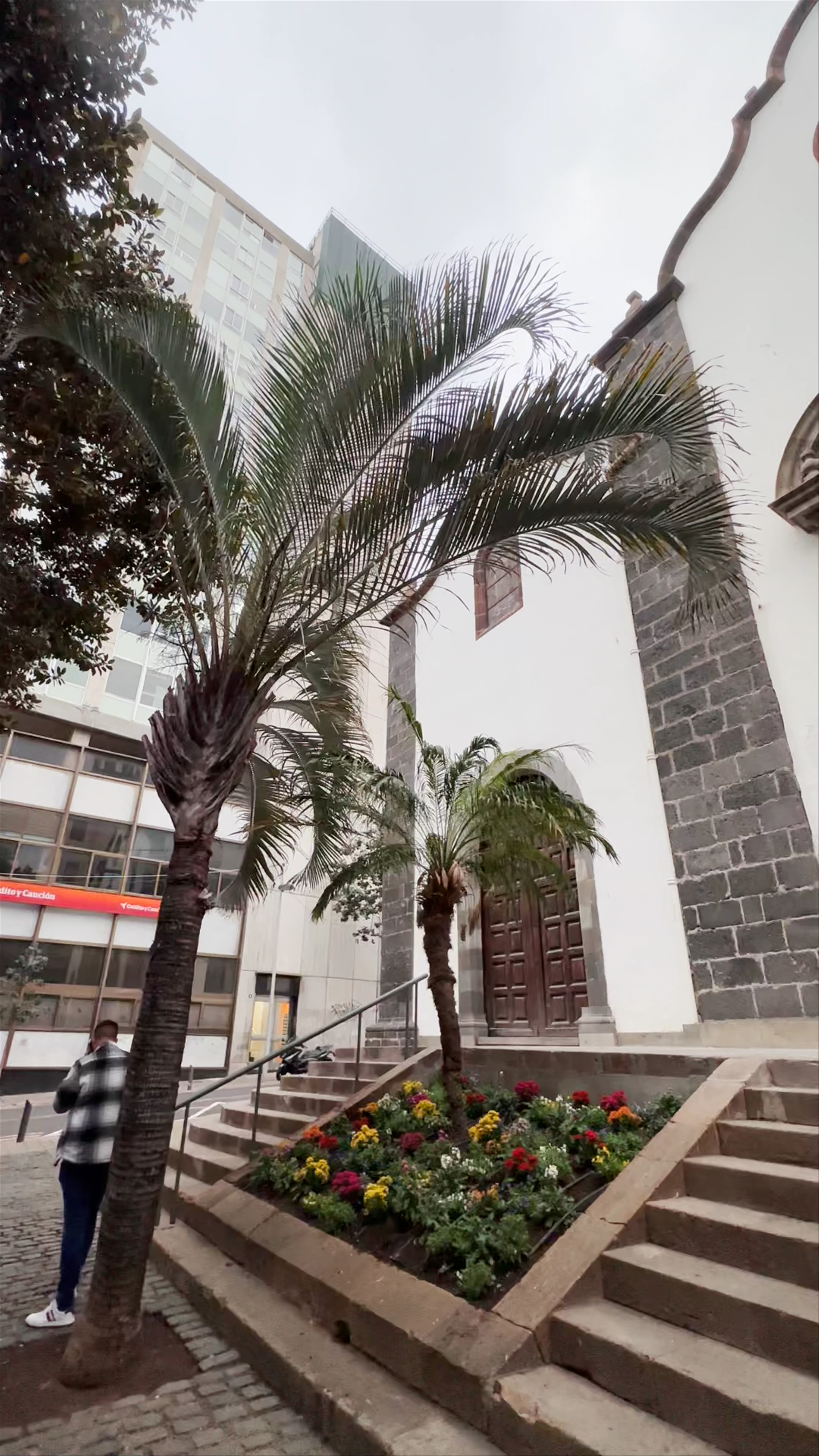 Parroquia de San Francisco de Asís, Plaza San Francisco, Santa Cruz de Tenerife, Spain