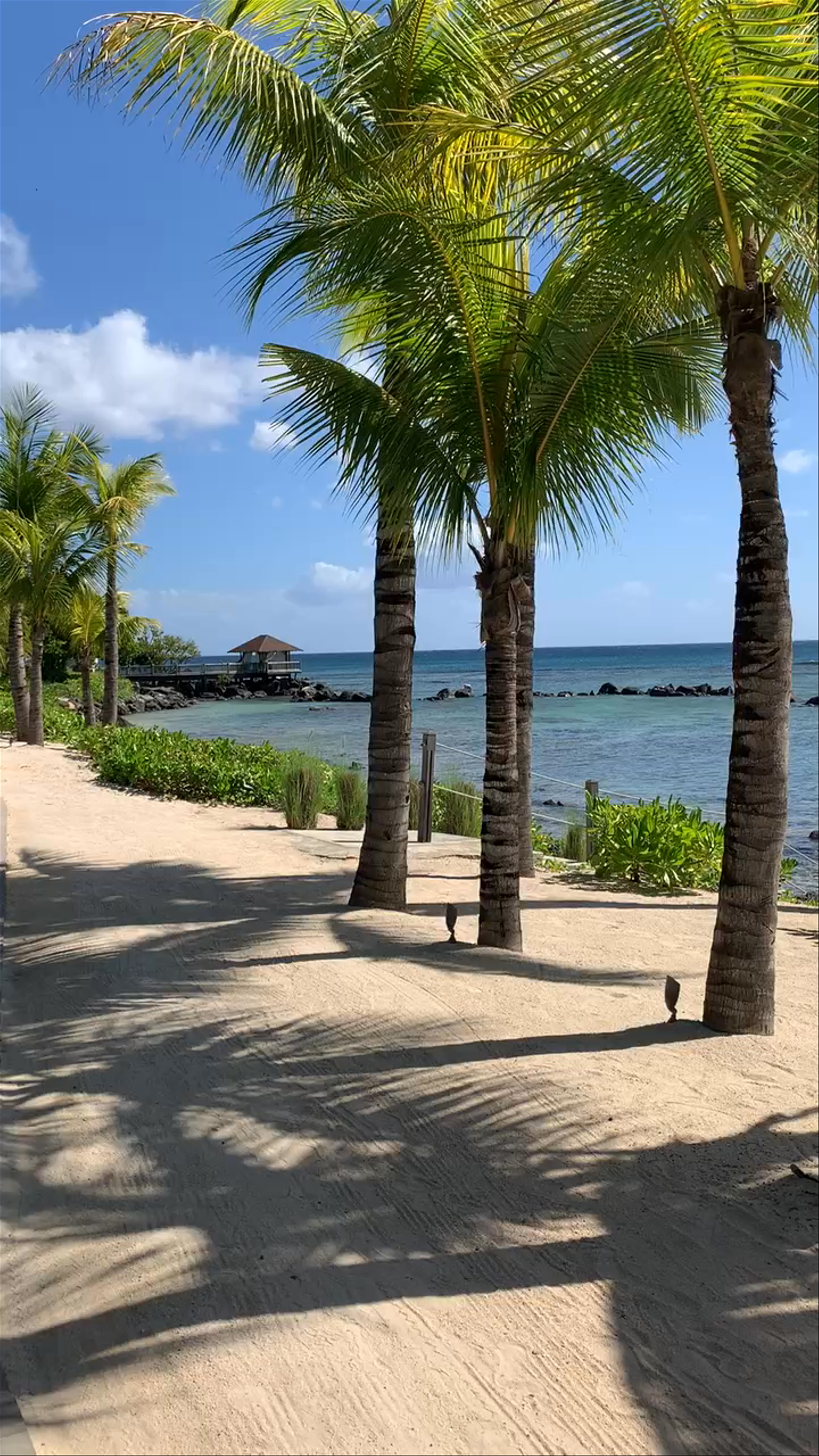 The Westin Turtle Bay Resort & Spa