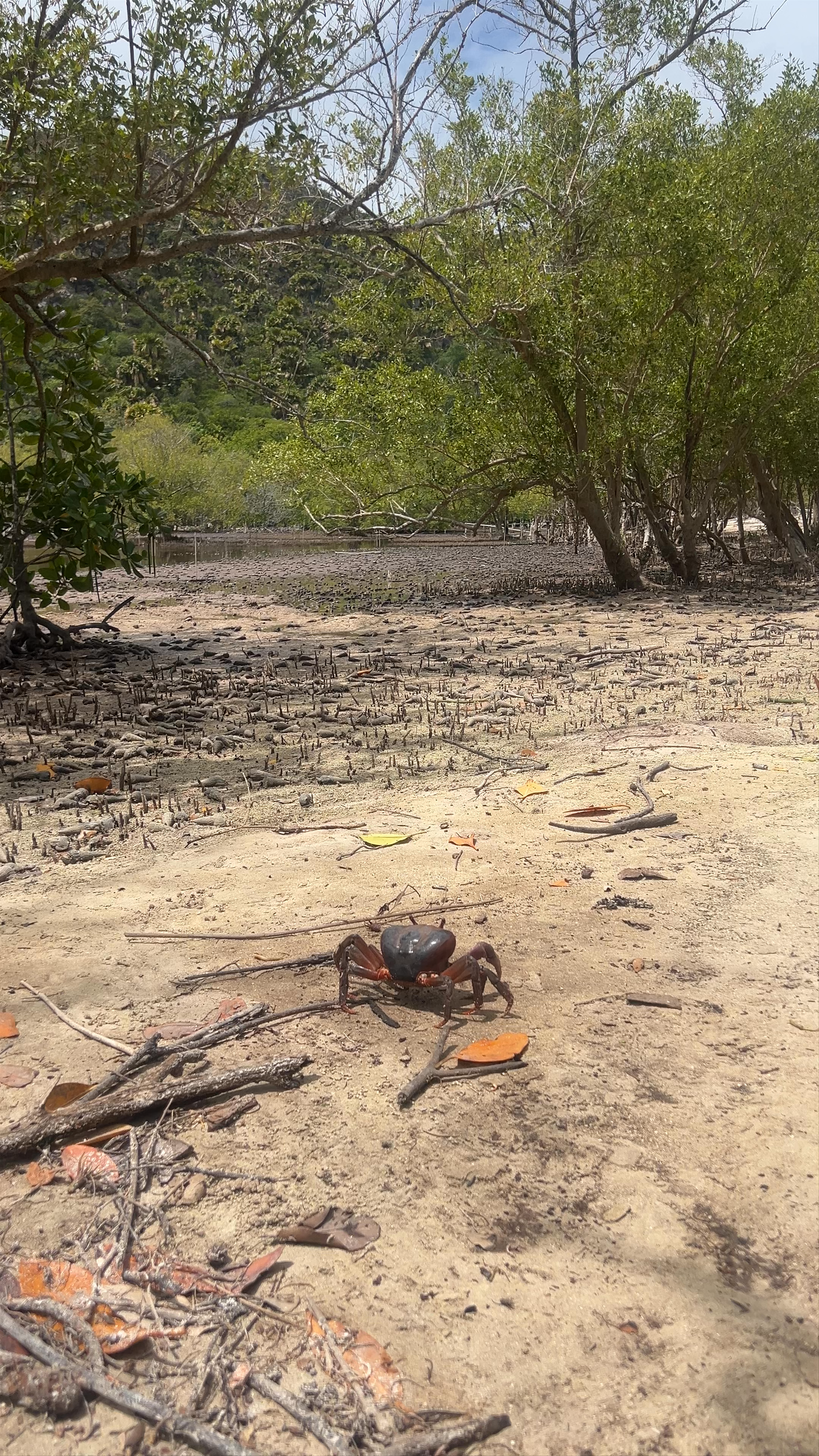 Praslin National Park