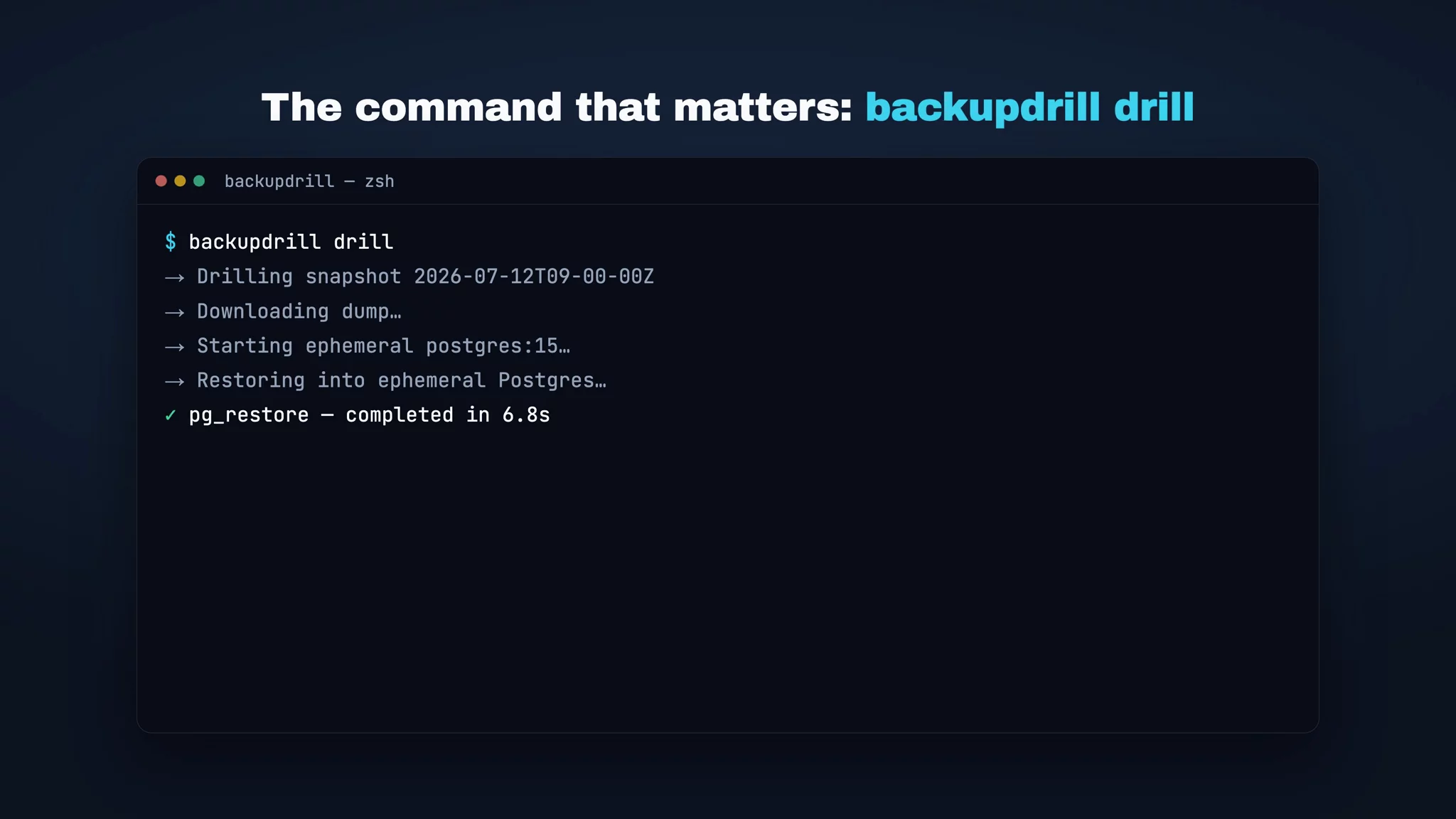 BackupDrill image 1