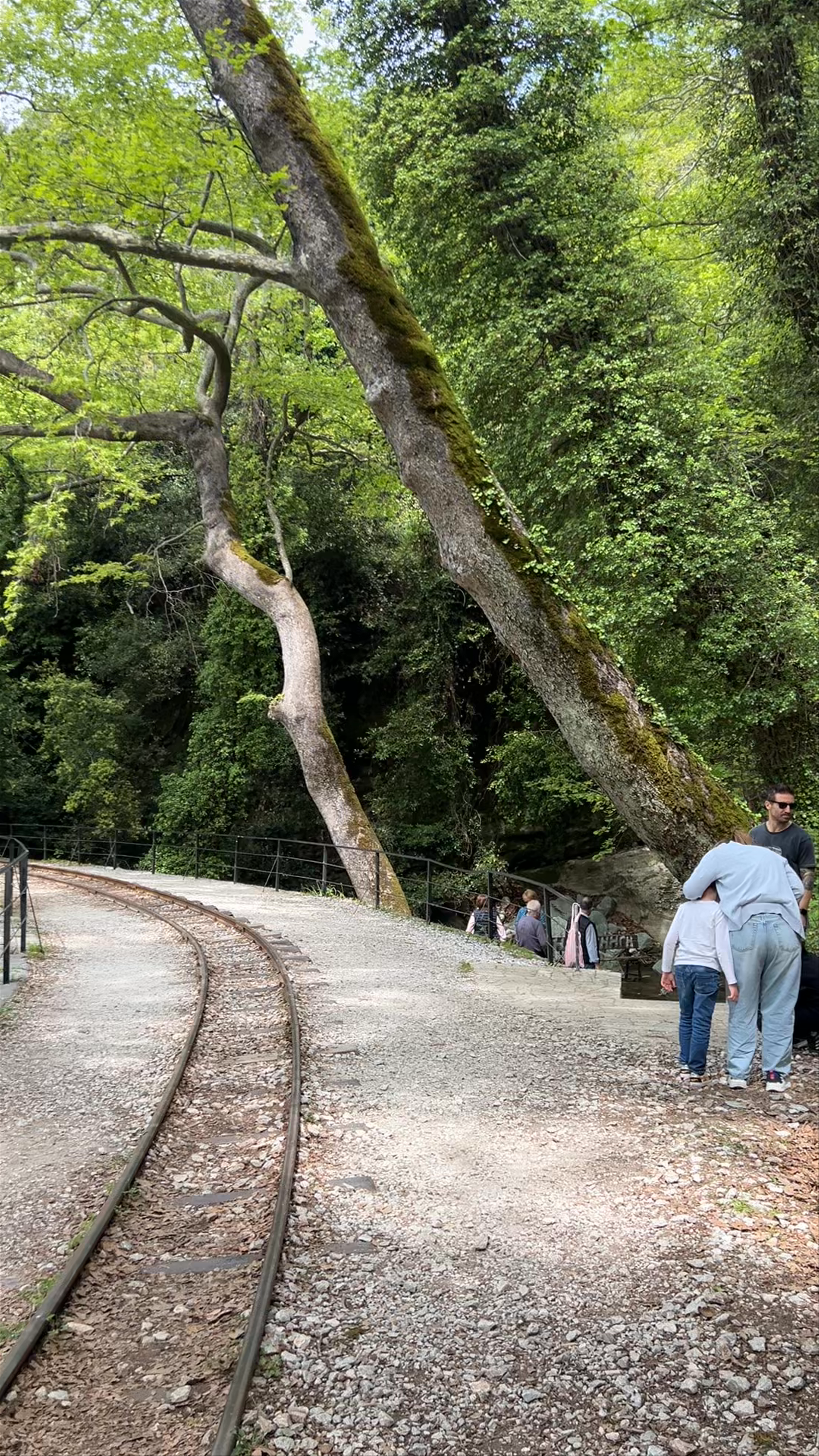 Σιδηροδρομικός Σταθμός Μηλεών